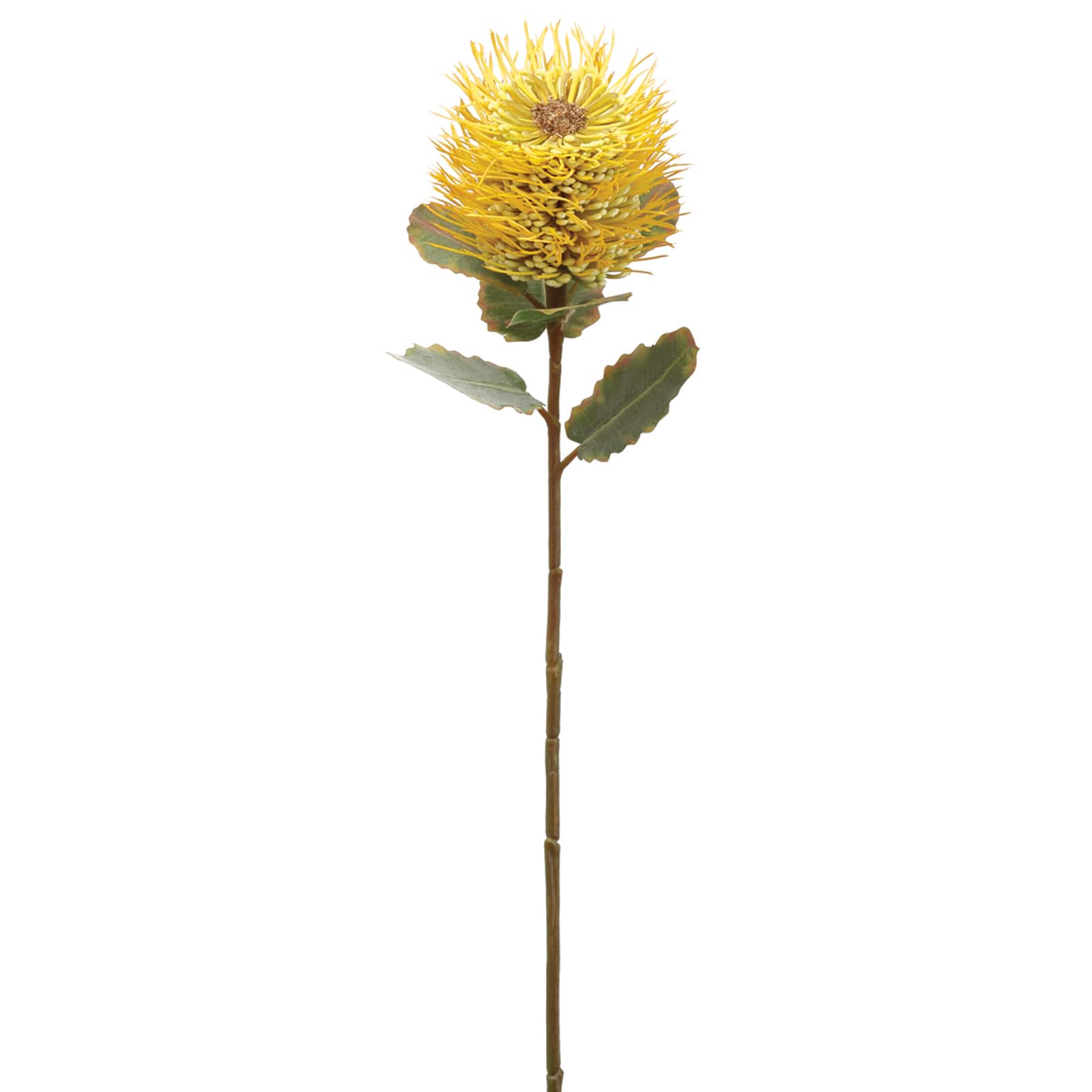 Yellow Protea Spray
