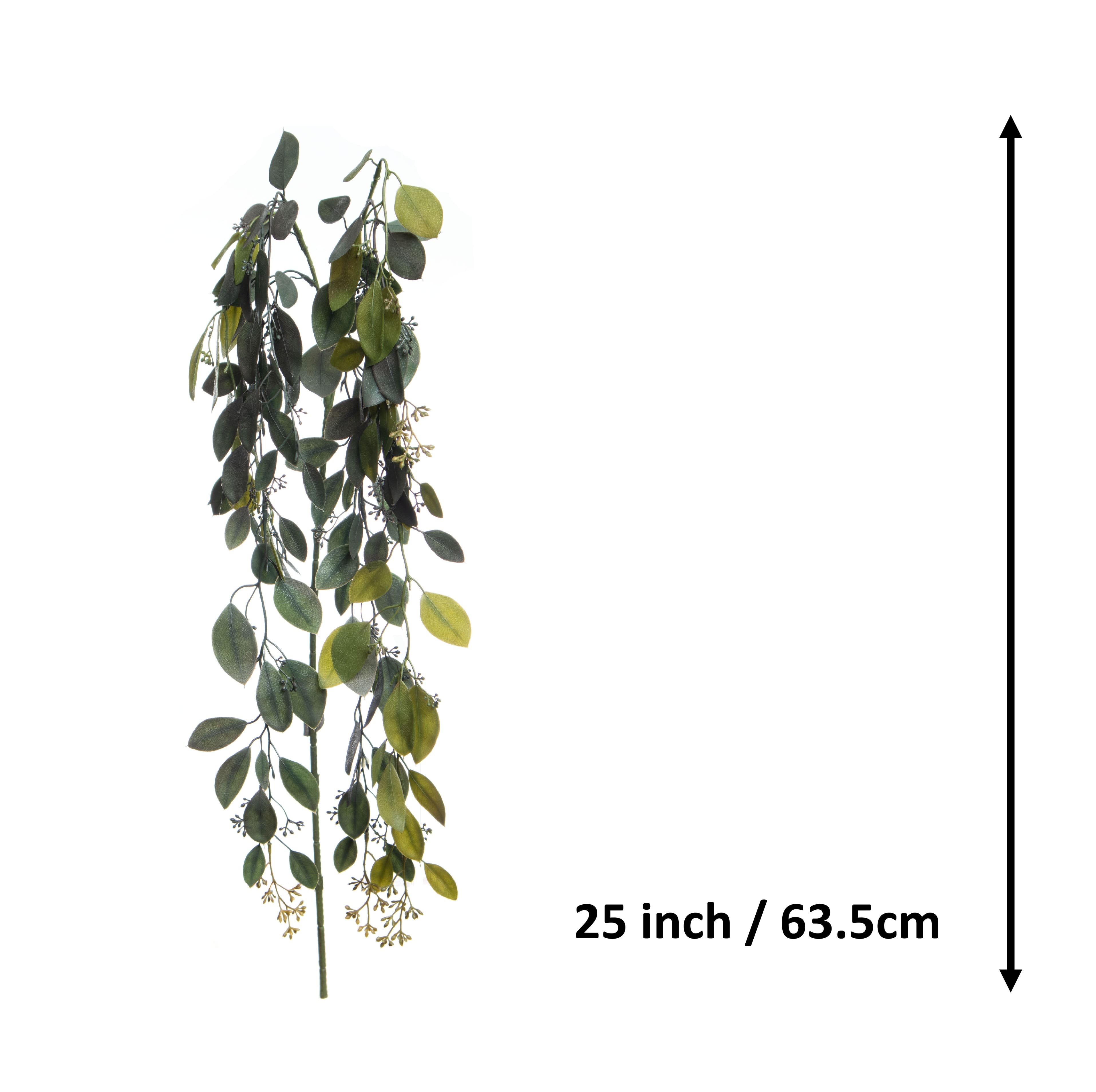 25" Hanging Seeded Eucalyptus by Ashland®