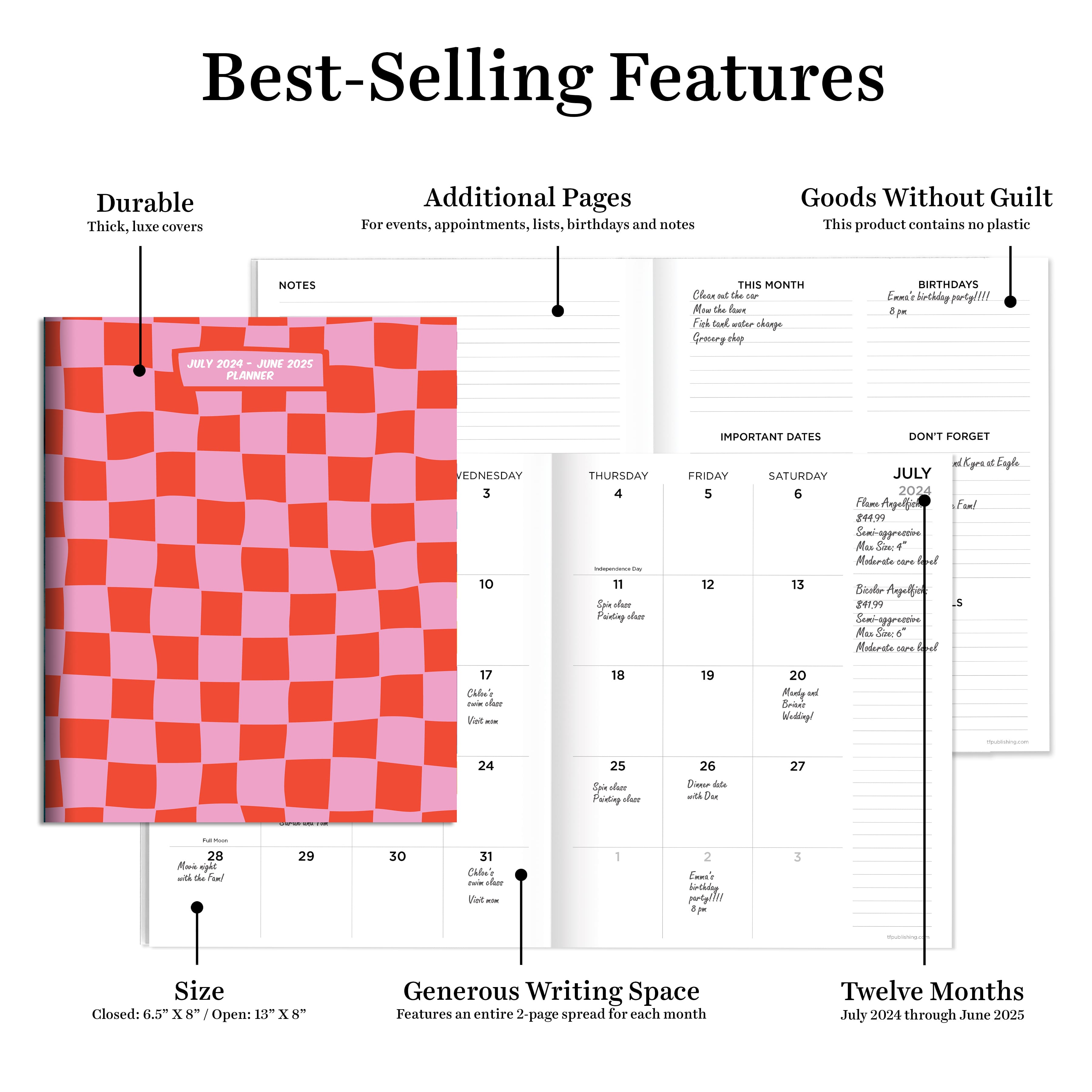 TF Publishing 2024-2025 Medium Checkered Pink &#x26; Red Monthly Planner