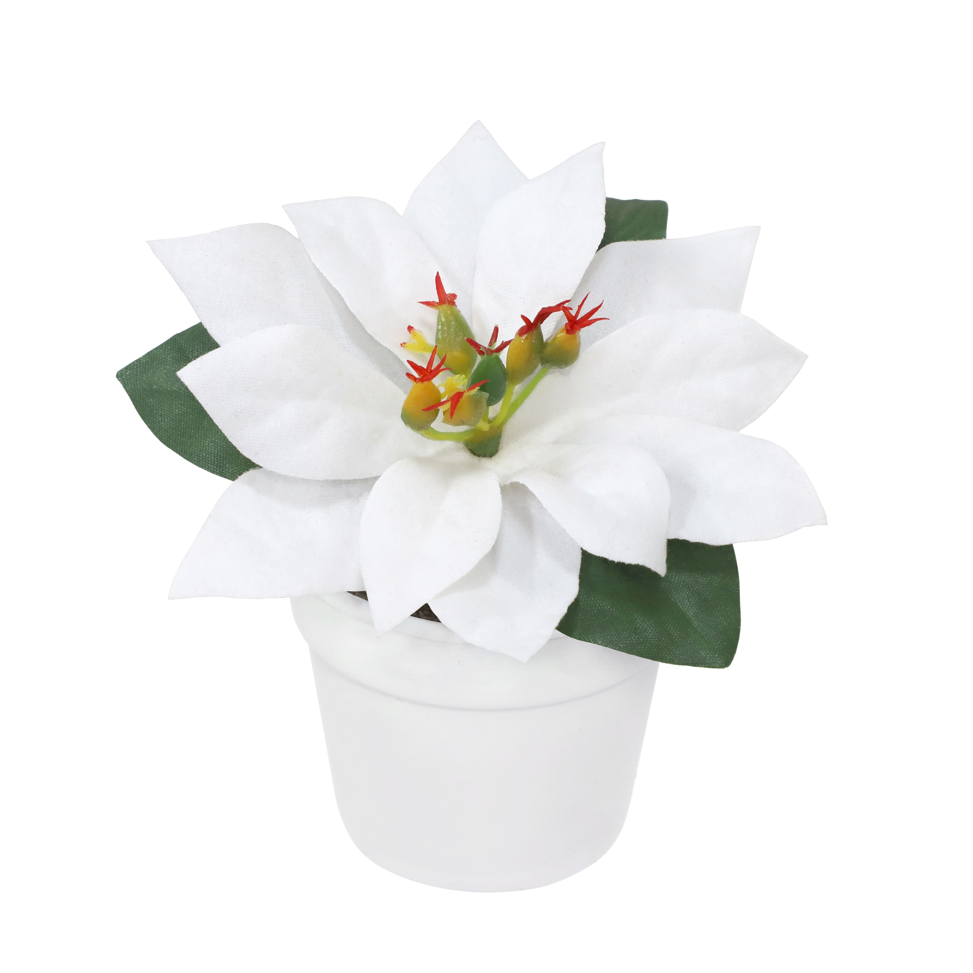 2.5&#x22; Premade White Velvet Poinsettia in White Terracotta Pot by Ashland&#xAE;