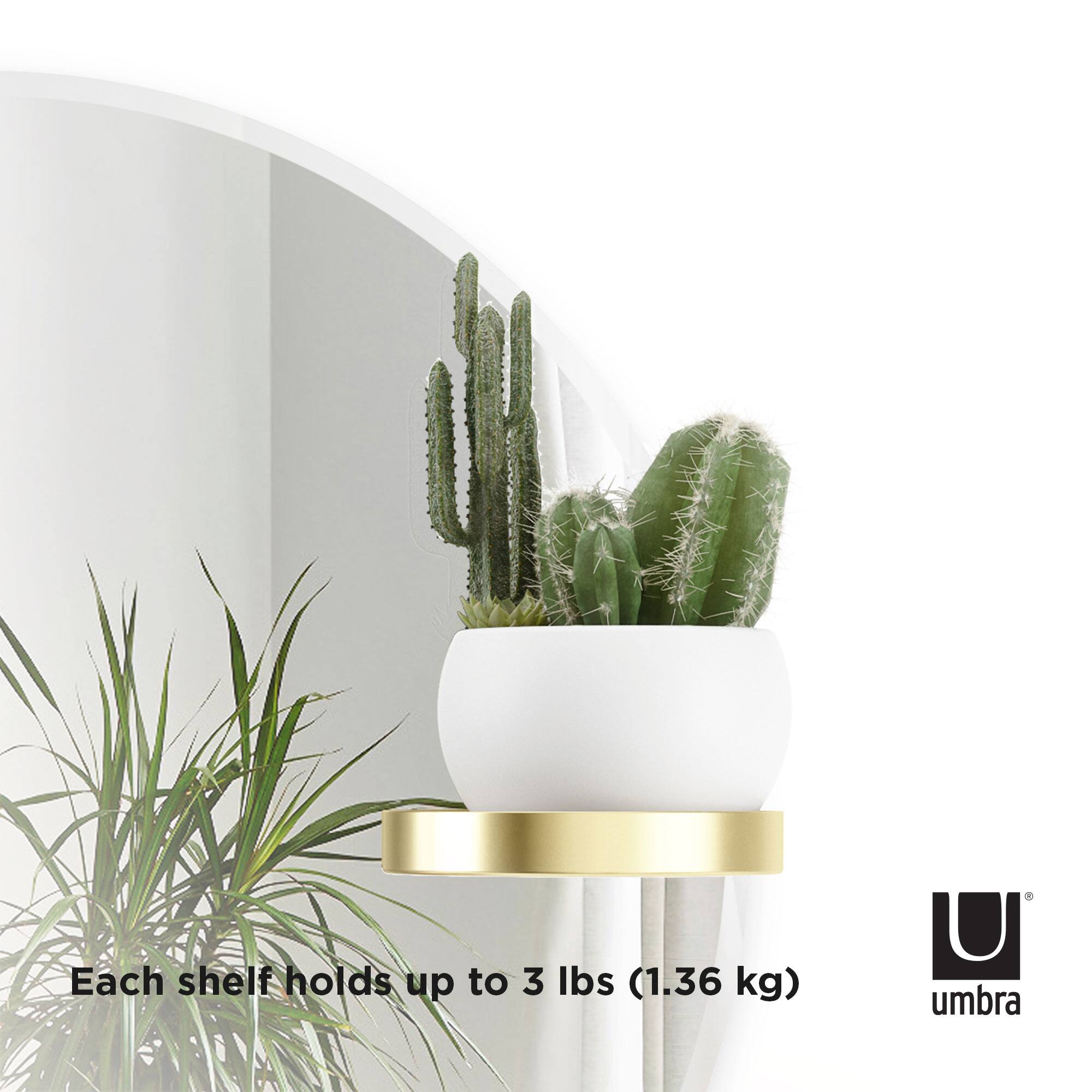 Umbra 24&#x22; Perch Round Wall Mirror