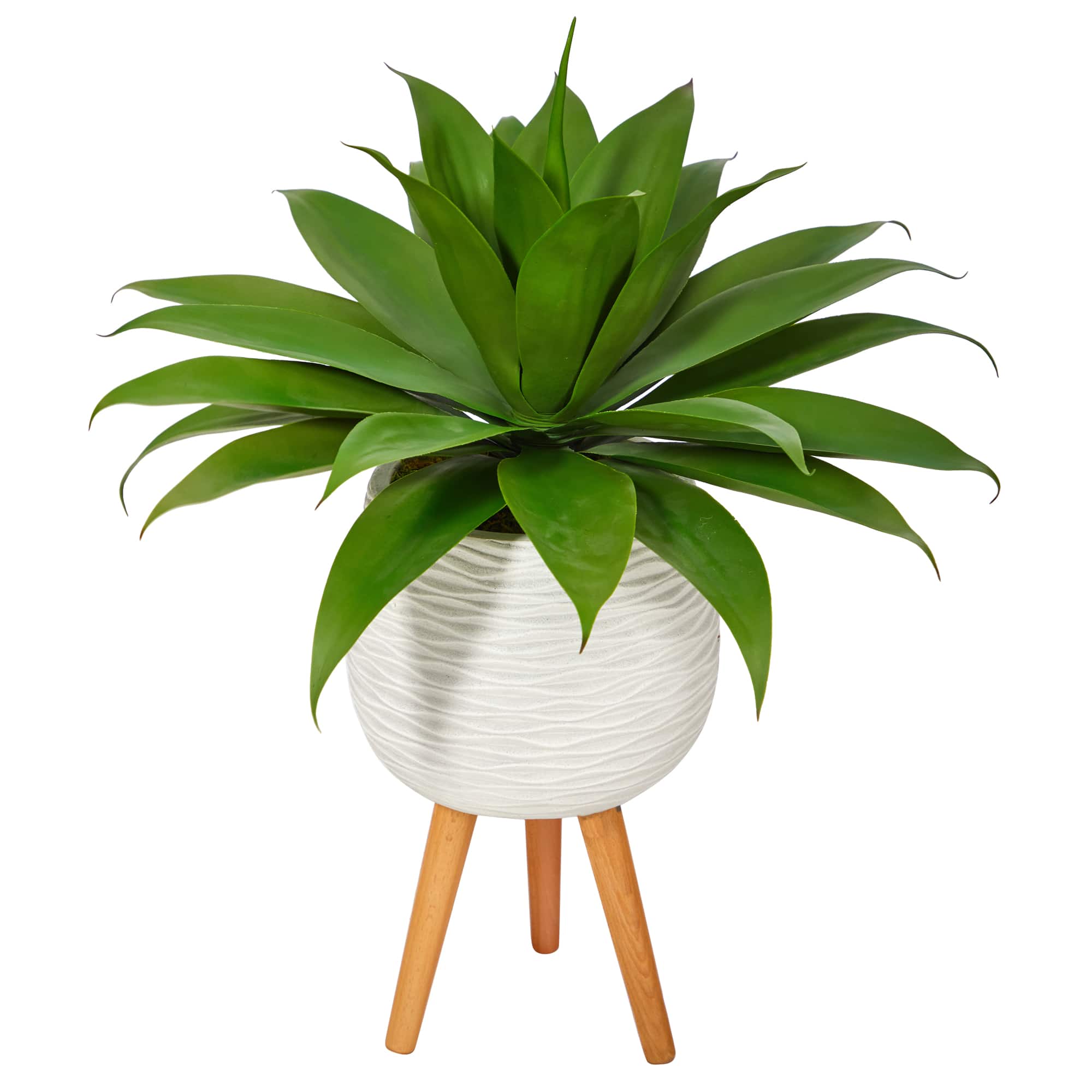 2.5ft. Agave Plant in White Planter with Stand