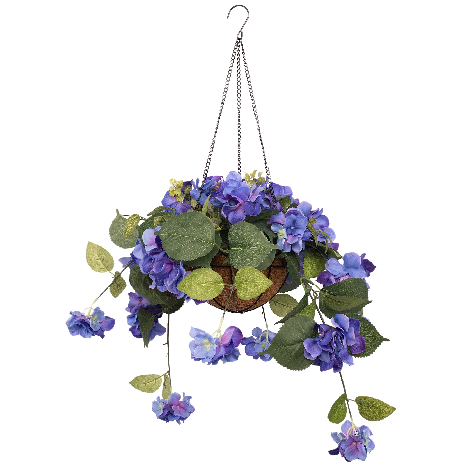 Image of Hanging basket of blue hydrangeas