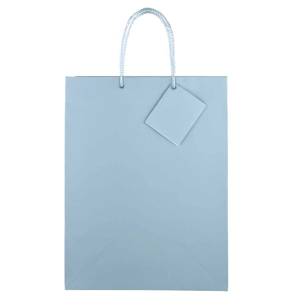 JAM Paper Large Glossy Gift Bags