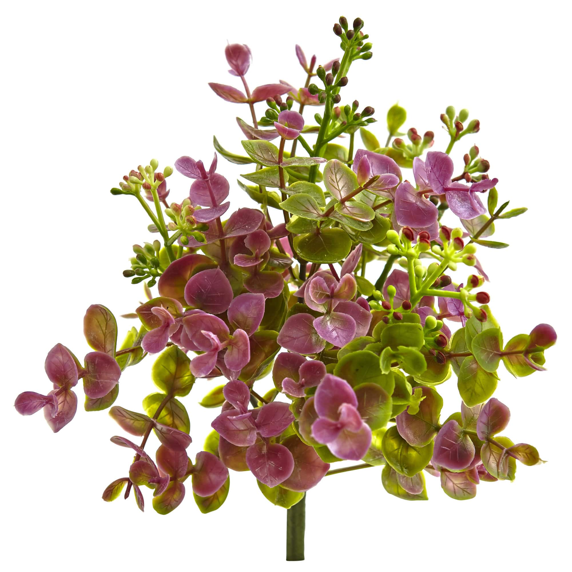 Purple &#x26; Green Eucalyptus &#x26; Sedum Plant, 12ct.