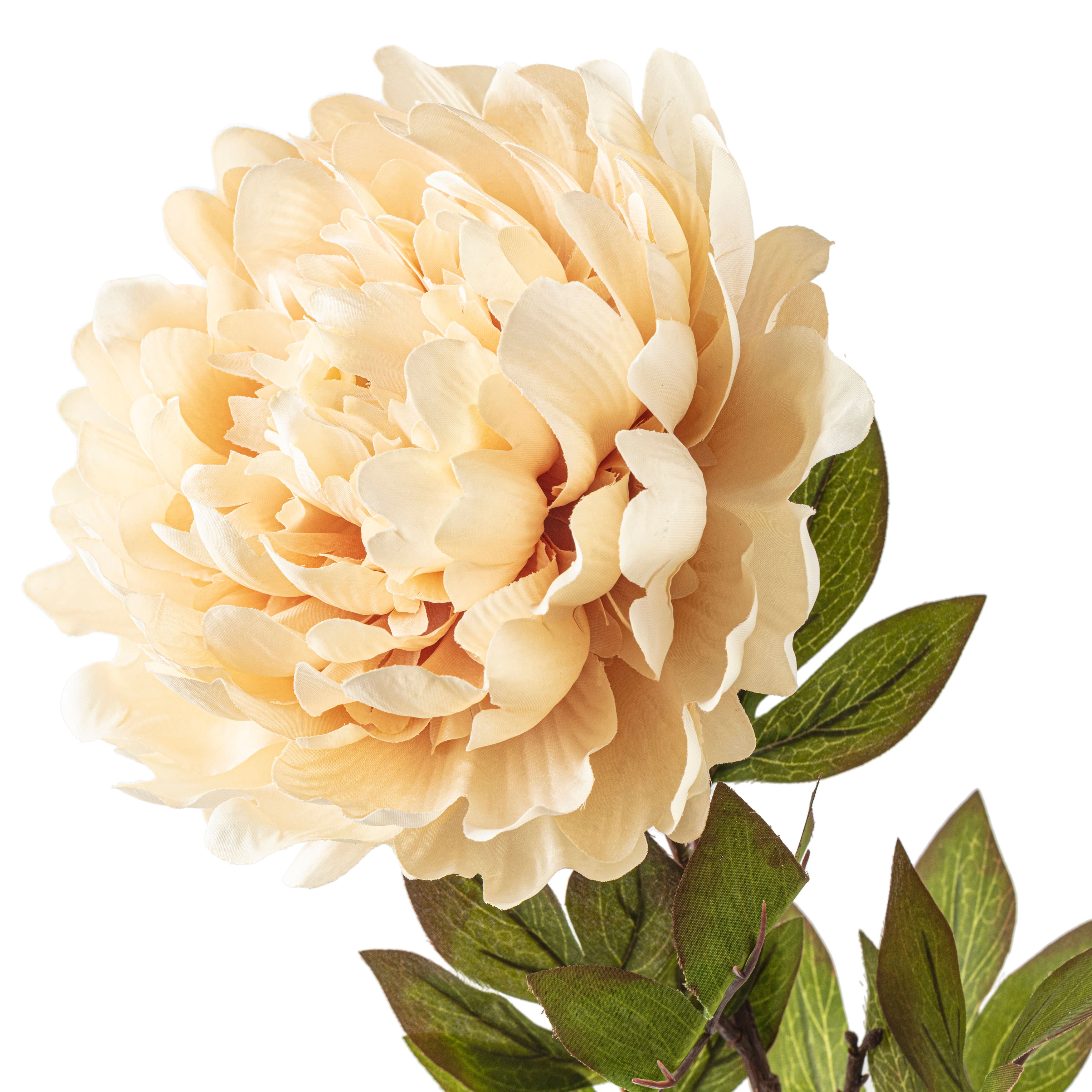 Jumbo Cream Peony Stem by Ashland&#xAE;