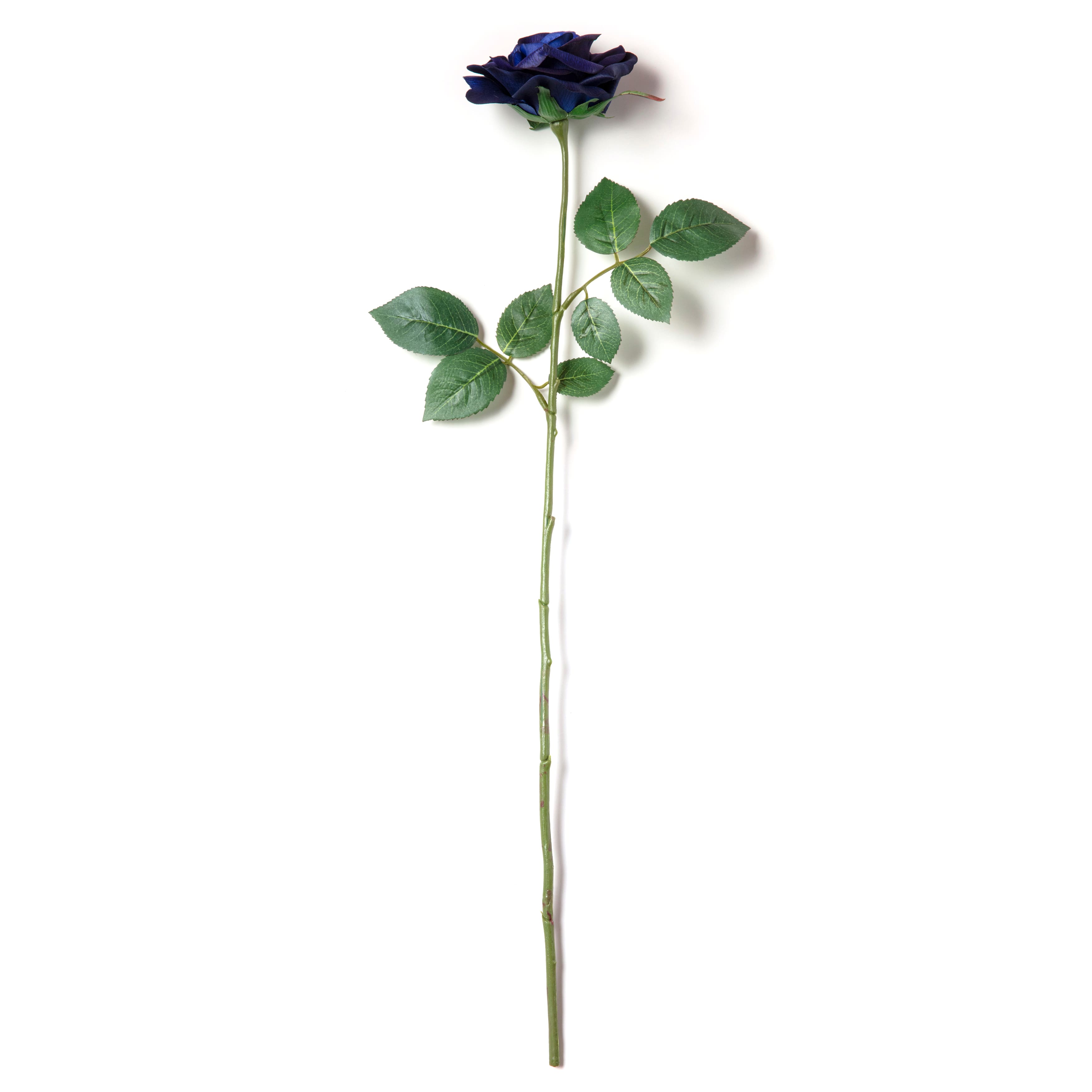 Navy Princess Rose Stem by Ashland&#xAE;