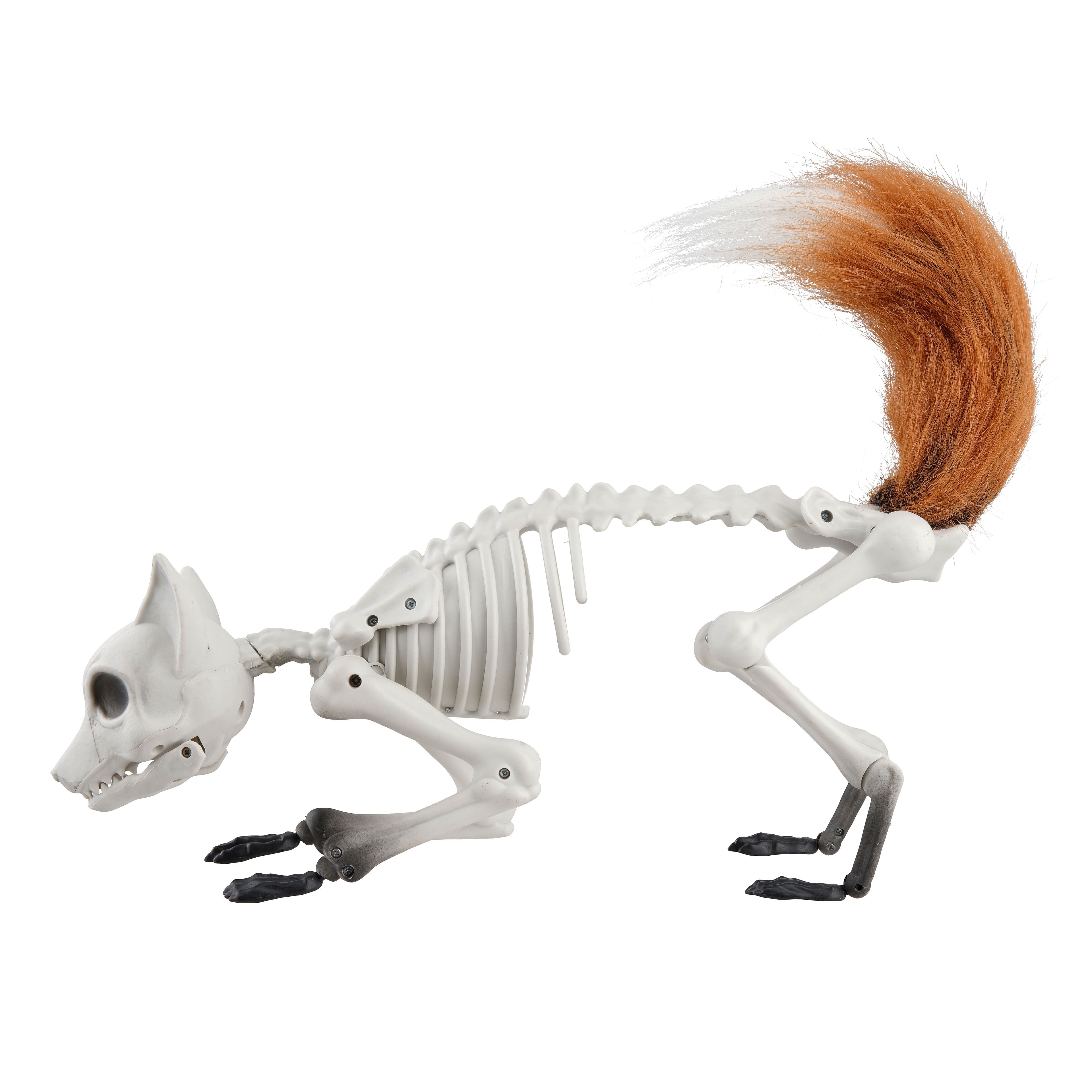 17.75&#x22; Fox Skeleton D&#xE9;cor by Ashland&#xAE;