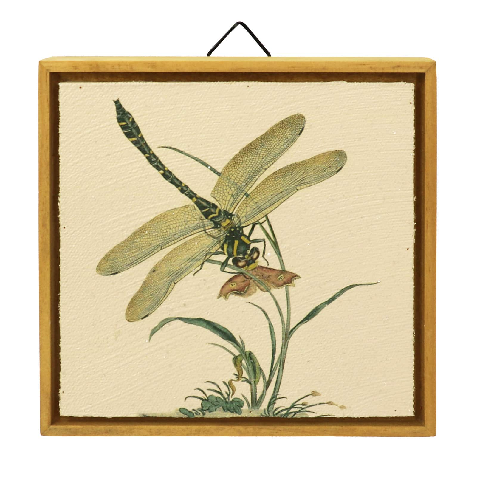 7&#x22; Dragonfly Wall Sign by Ashland&#xAE;