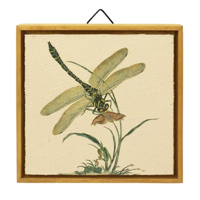 7" Dragonfly Wall Sign by Ashland®