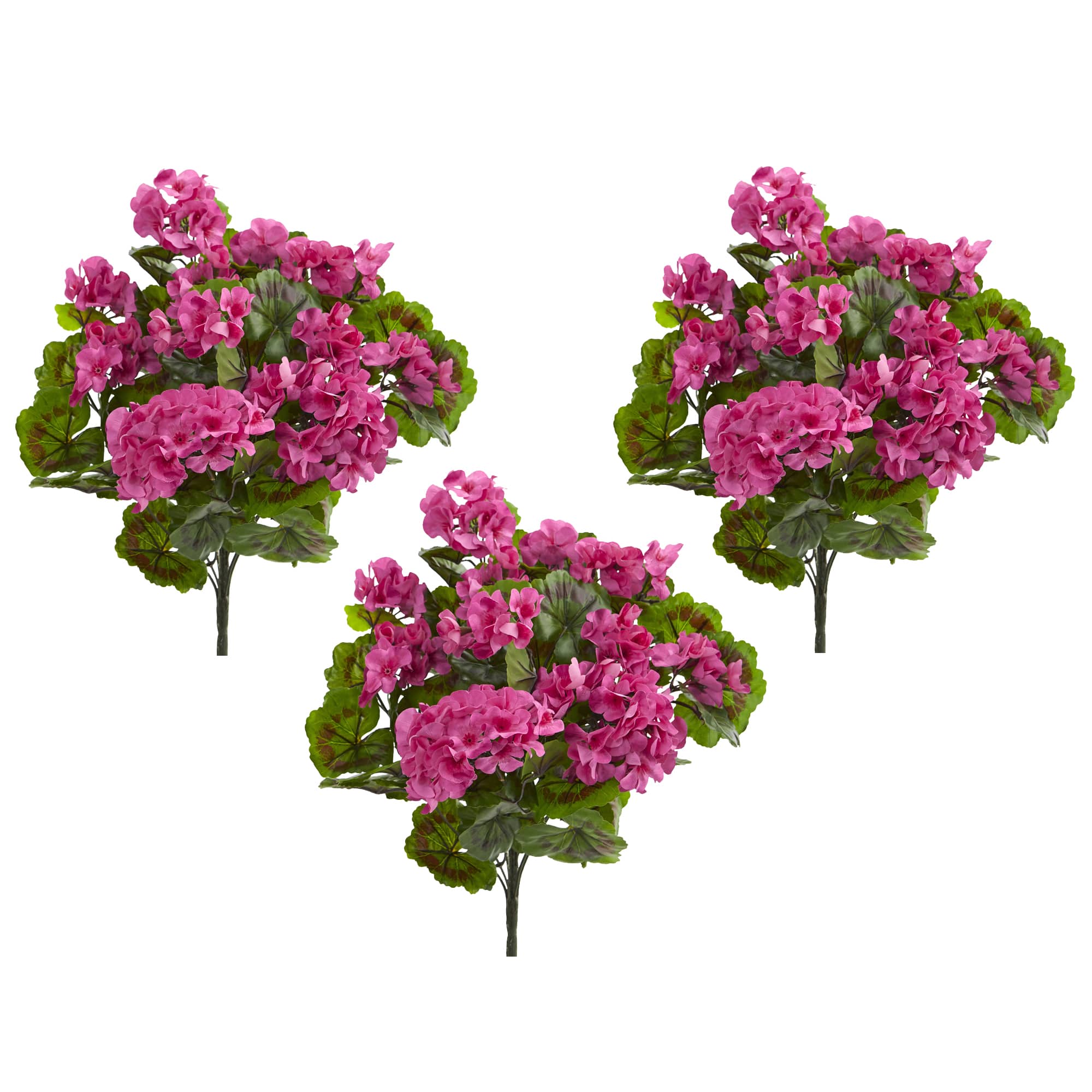 Pink &#x26; Green Geranium Bush, 3ct.