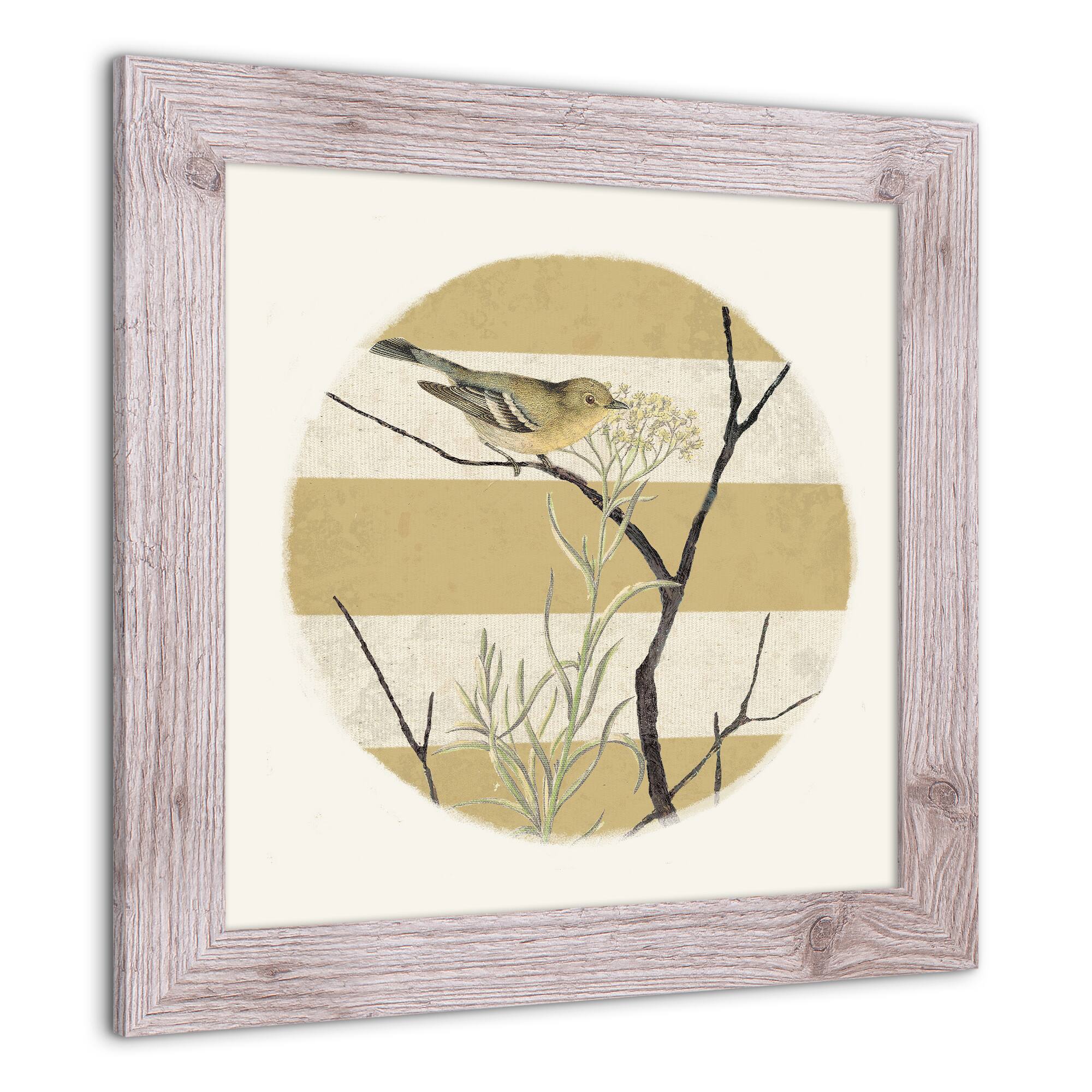 Framed Western Vintage Bird &#x26; Stripes Print