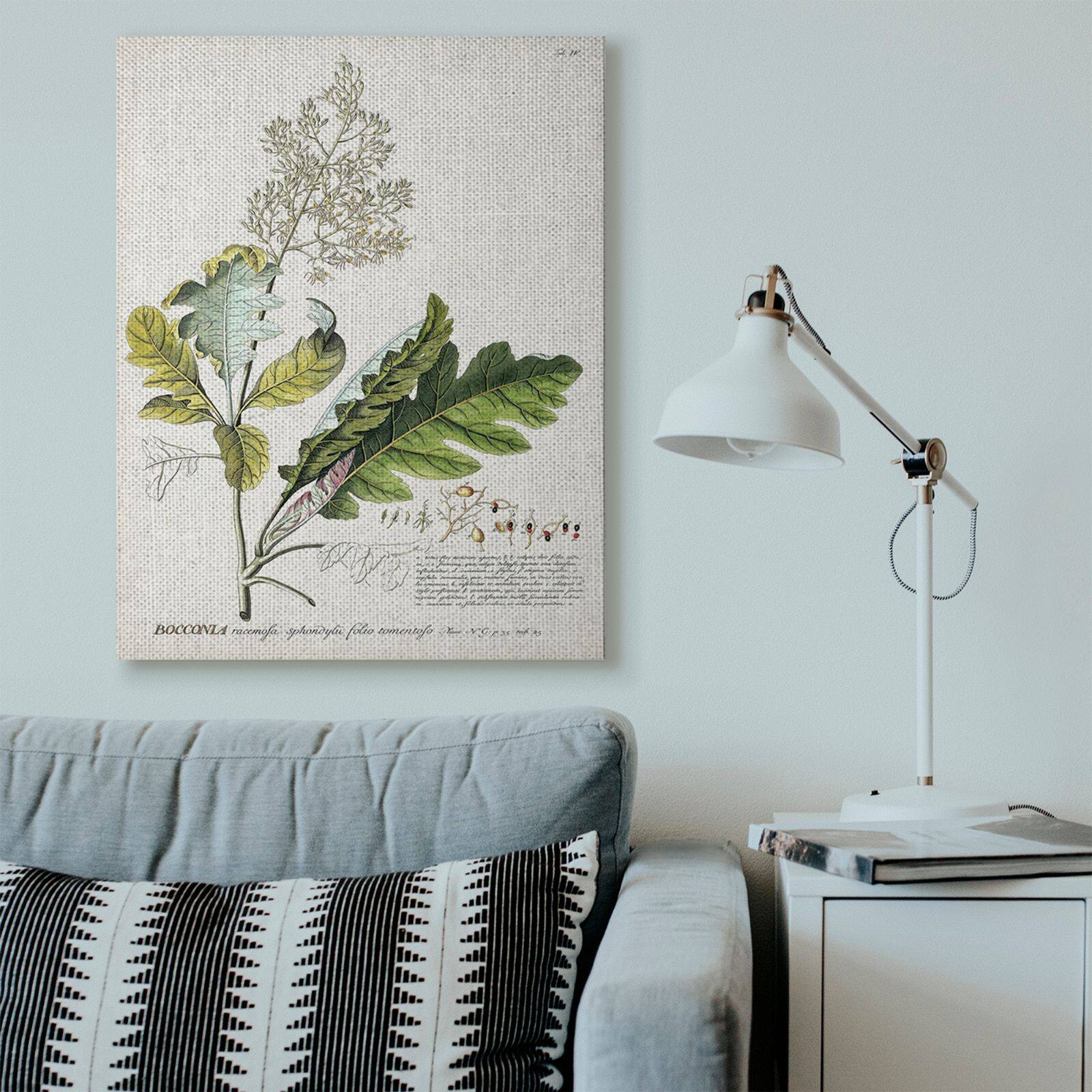 Stupell Industries Vintage Botanical Illustration Canvas Wall Art