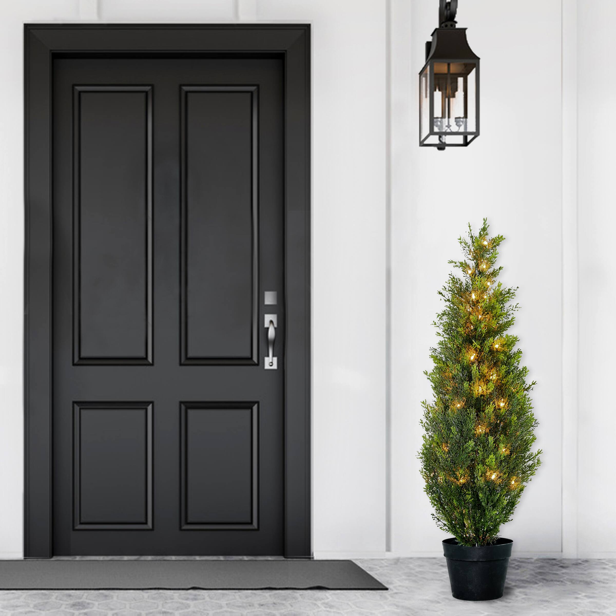 3ft. Arborvitae in Green Grower&#x27;s Pot, 50 Clear Lights