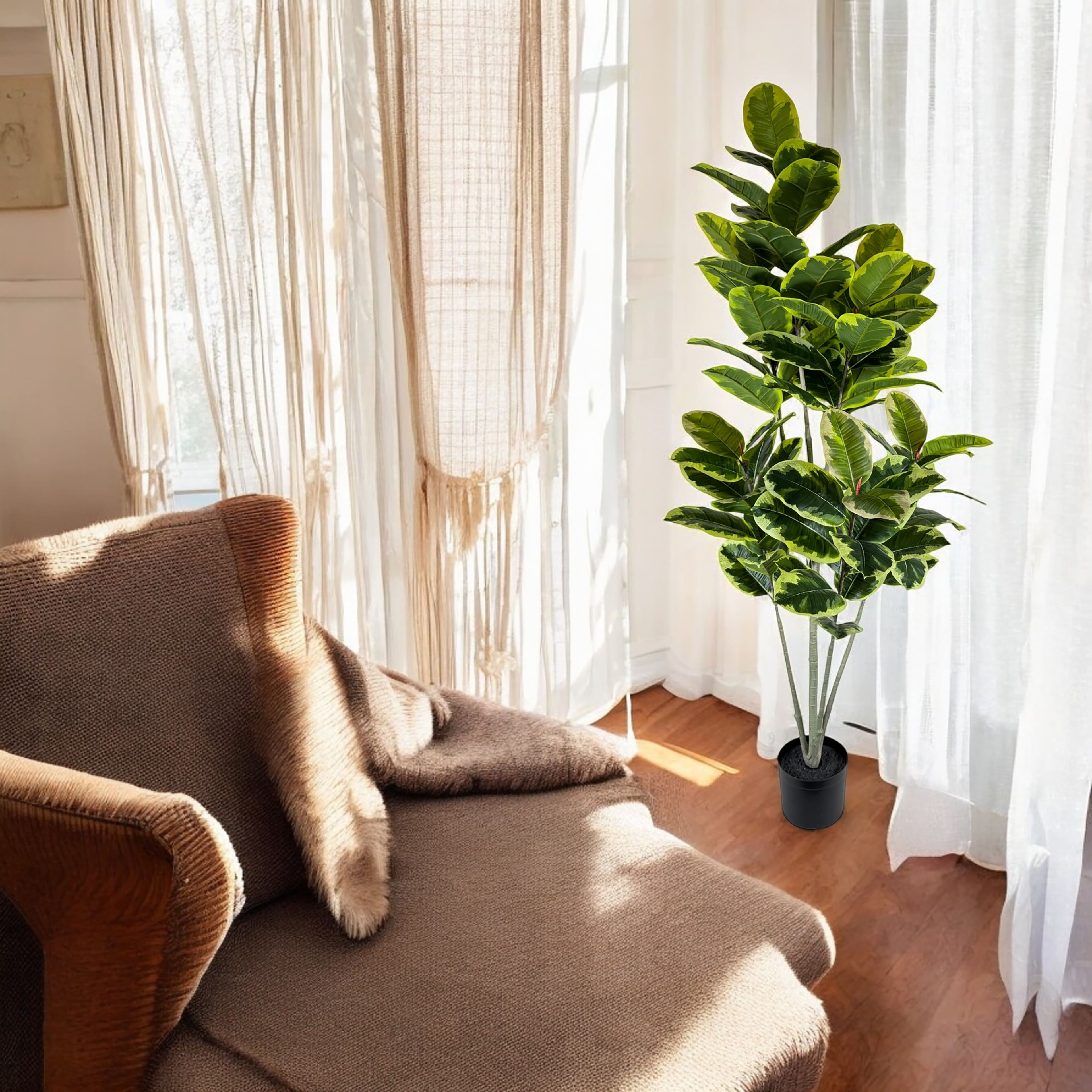 5ft. Ficus Tree by Ashland&#xAE;