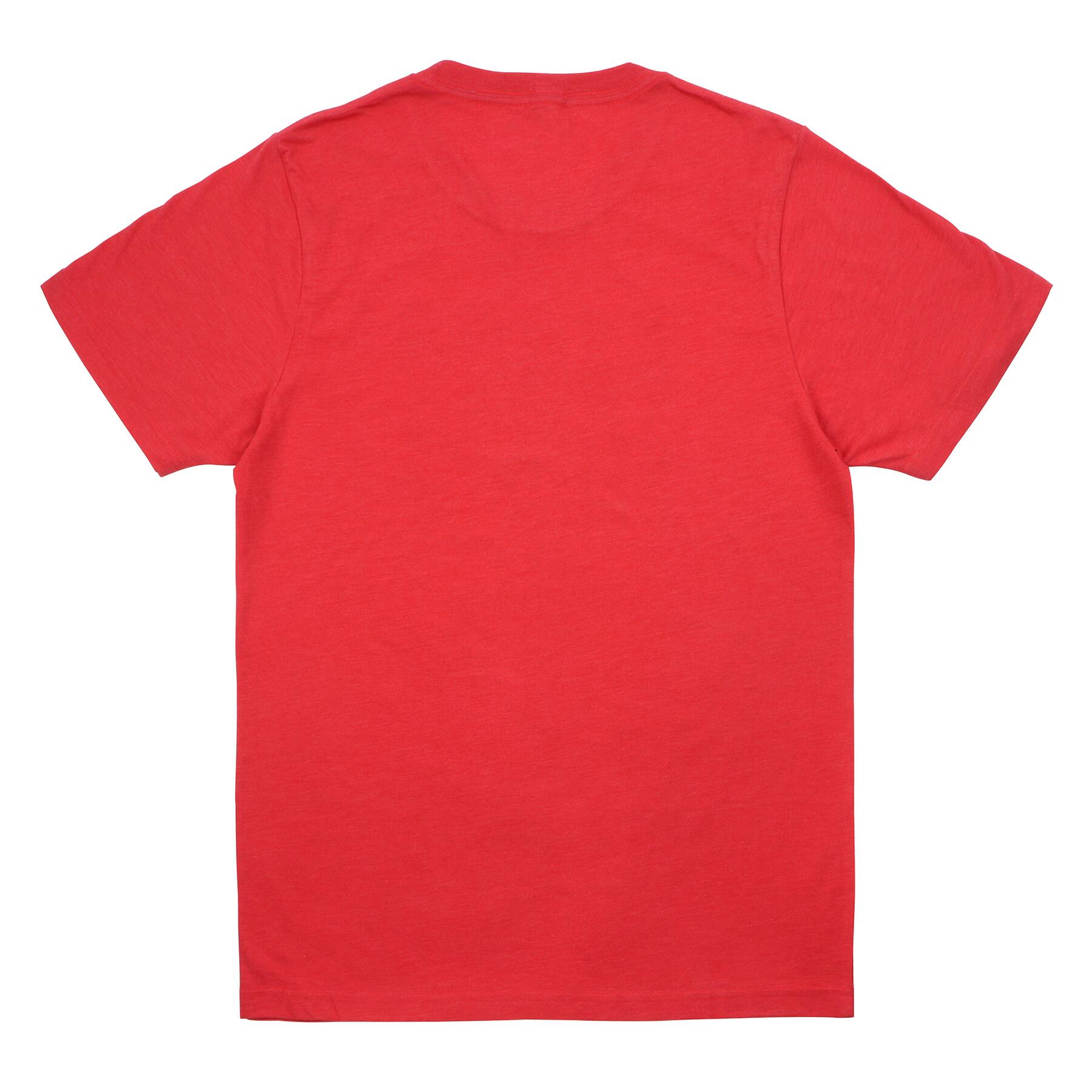 Stars &#x26; Stripes Adult T-Shirt by Celebrate It&#x2122;