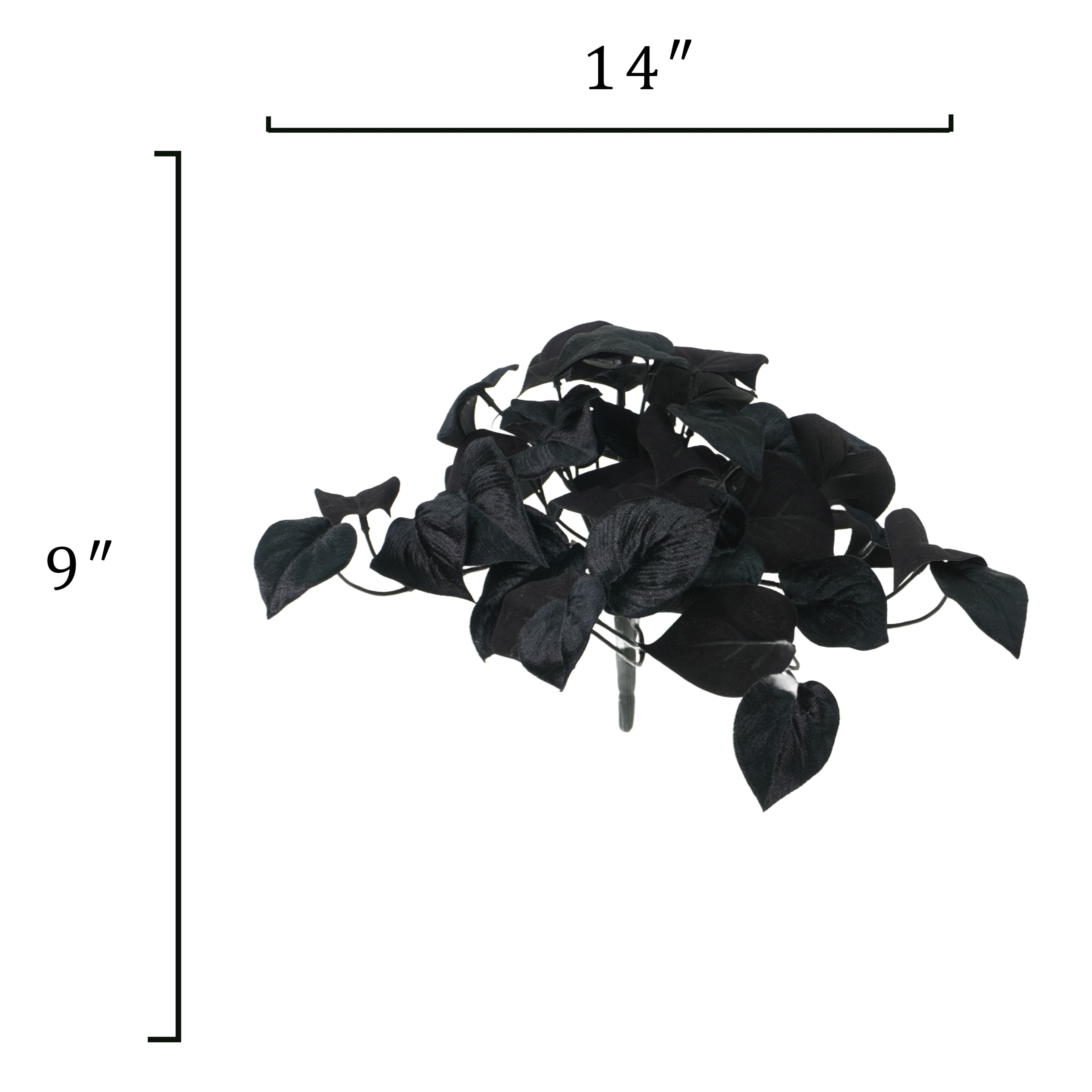 14&#x22; Black Philodendron Bush by Ashland&#xAE;