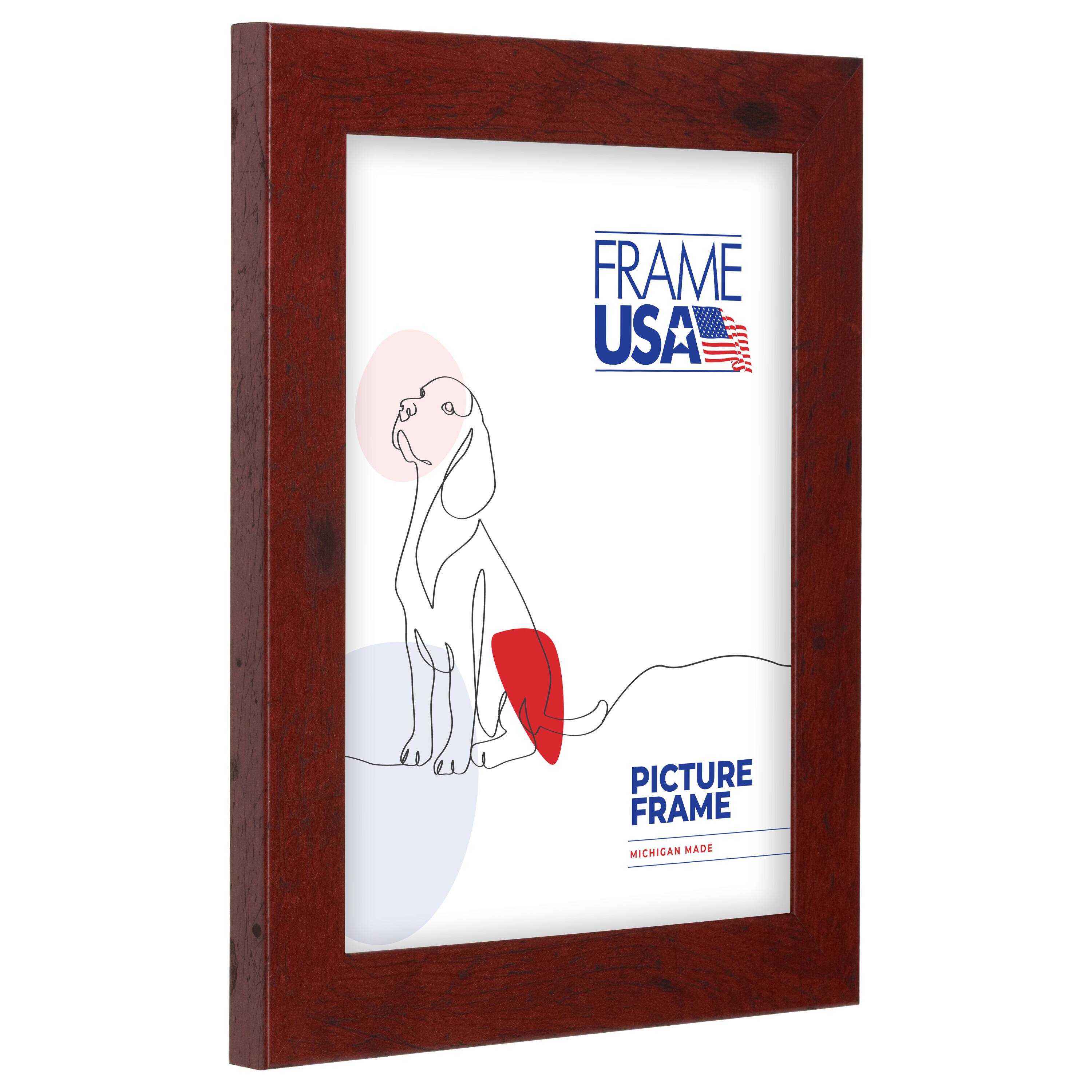 Frame USA Rustic Red Single Image Picture Frame