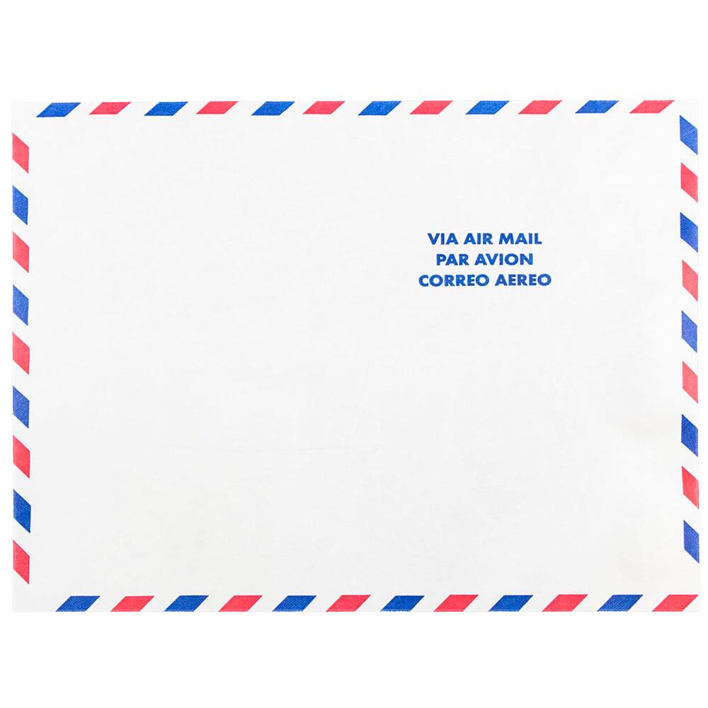 JAM Paper 10" x 13" White Airmail Tyvek Envelopes, 25ct.