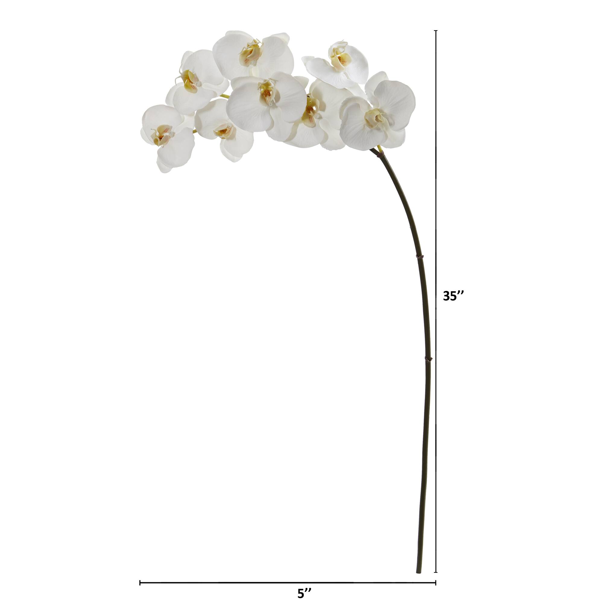 35&#x22; Phalaenopsis Orchid Artificial Flower (Set of 6)