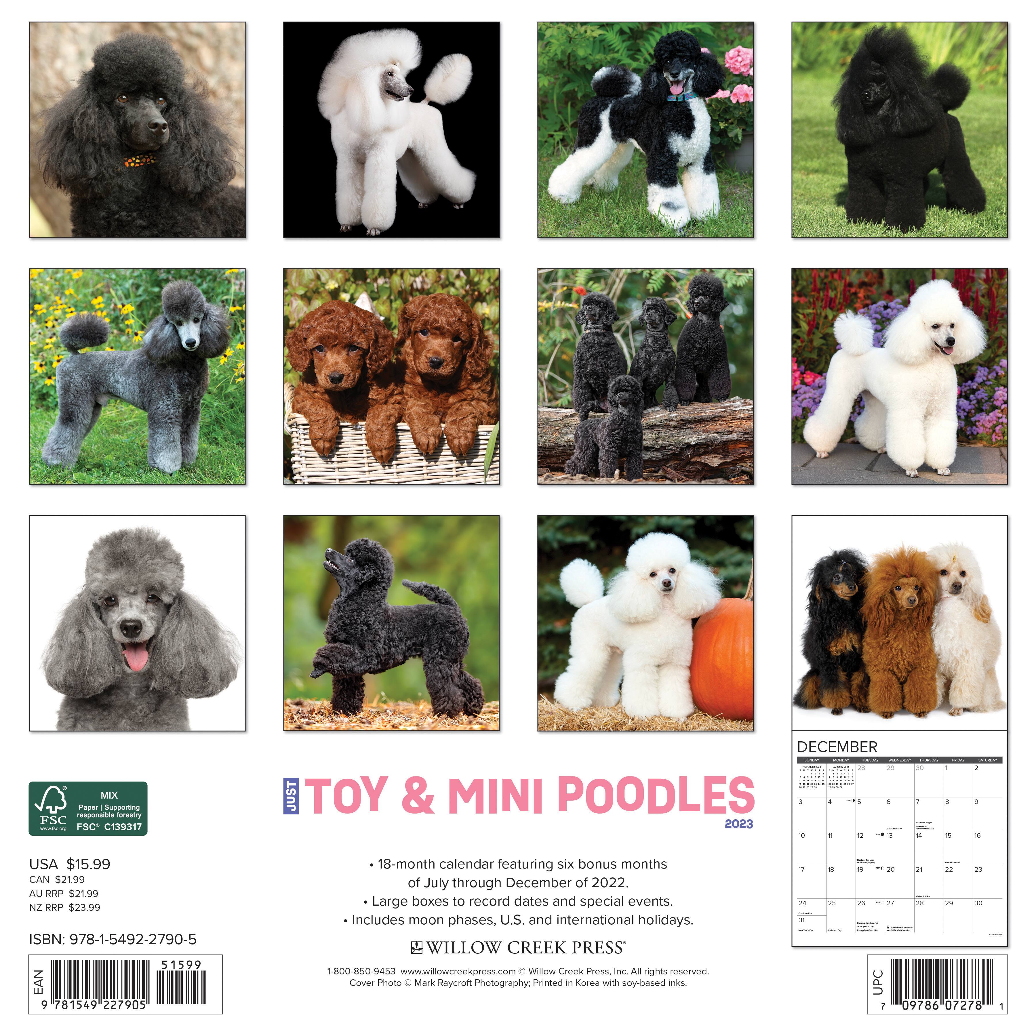 2023 Just Toy & Miniature Poodles Wall Calendar Wall Calendars Michaels