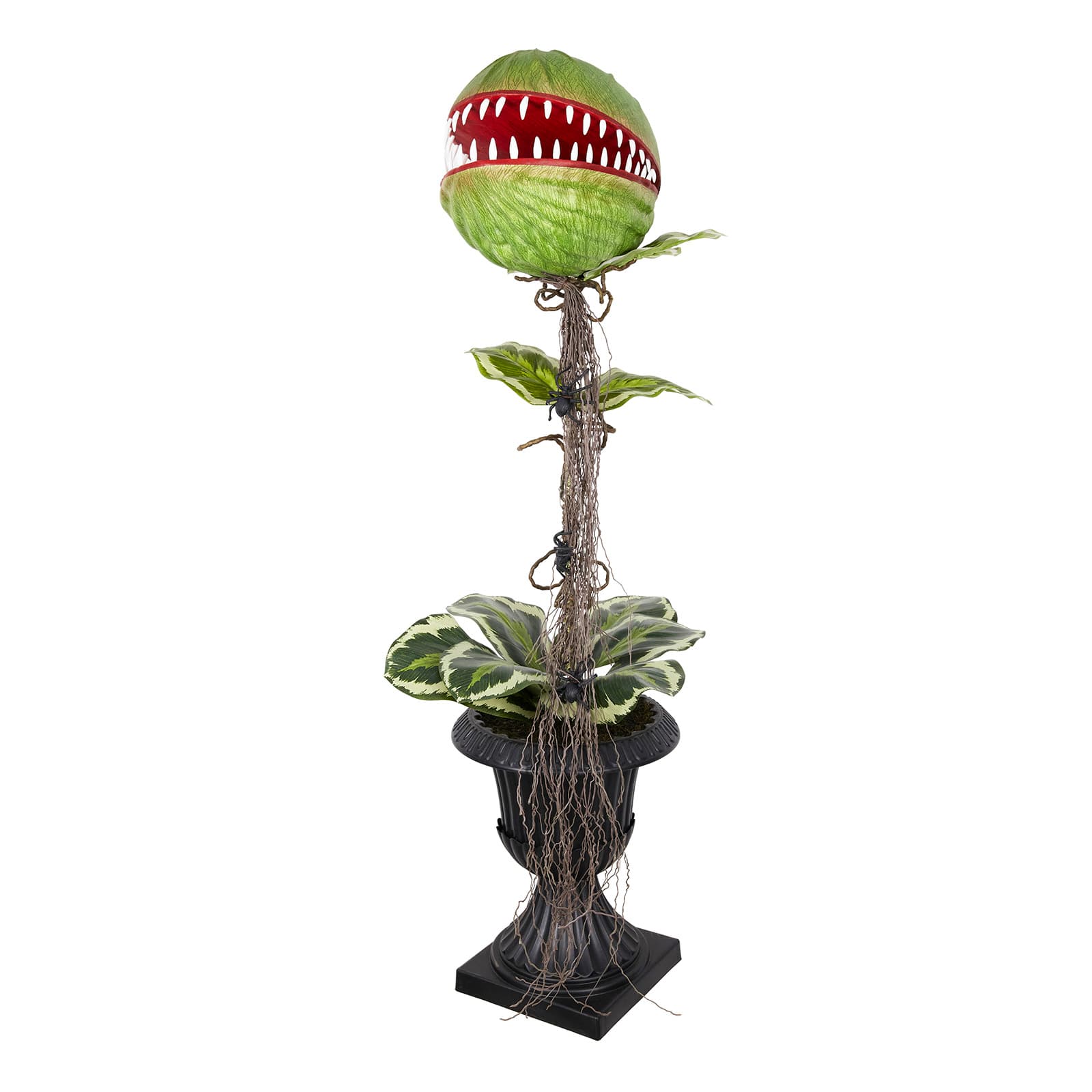46&#x22; Venus Flytrap in Black Urn by Ashland&#xAE;