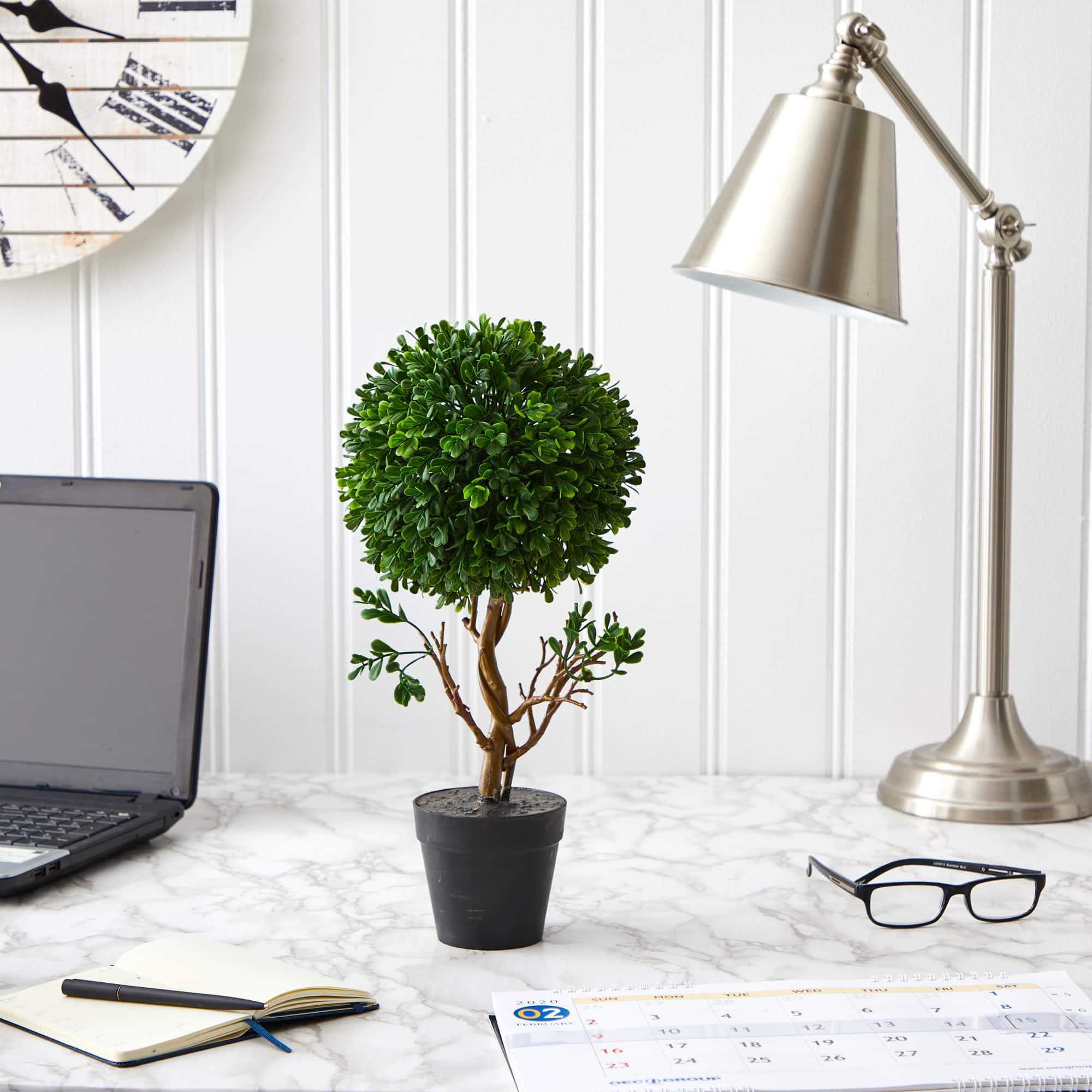 15" Potted Tabletop Boxwood Topiary Tree
