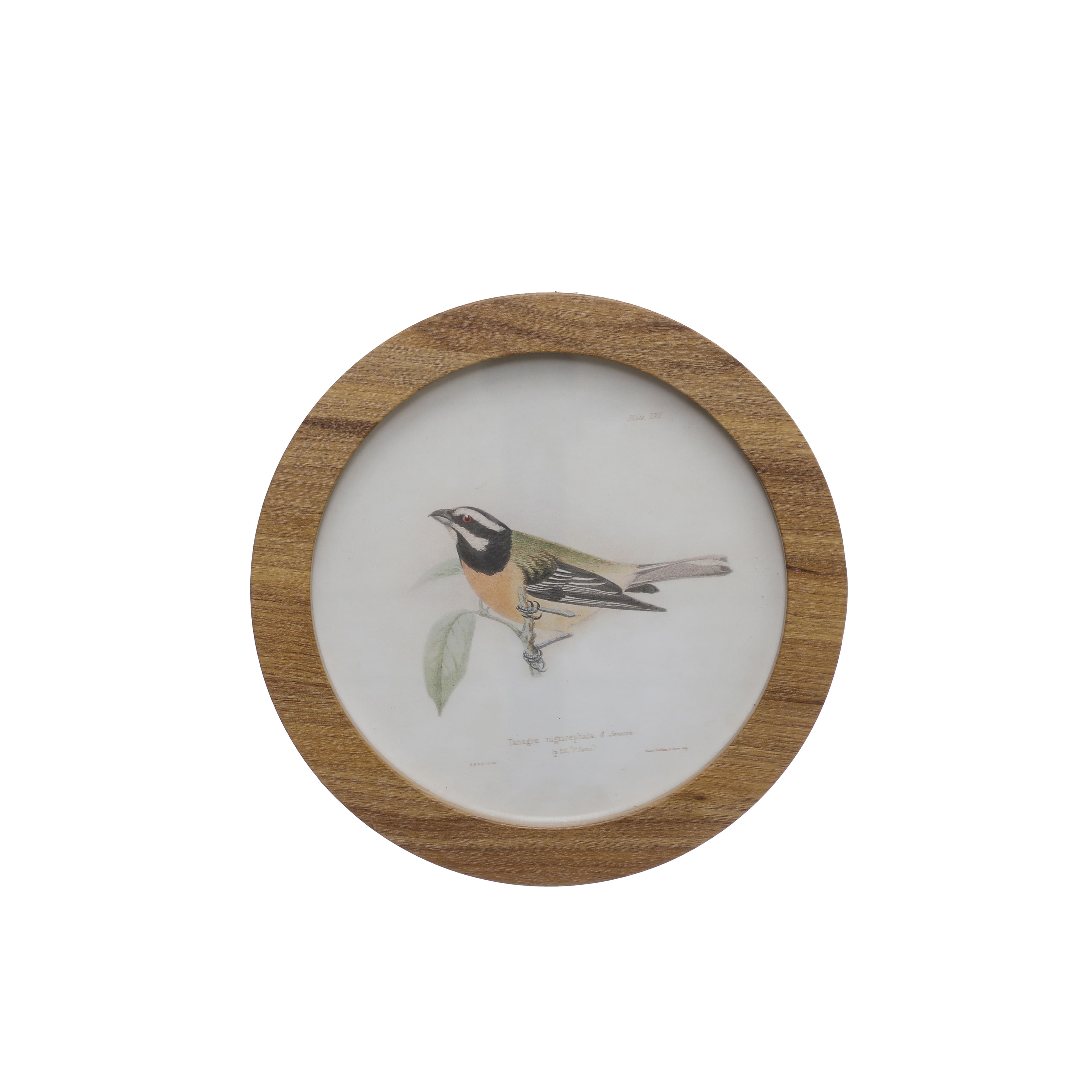 Bird B Wall D&#xE9;cor by Ashland&#xAE;