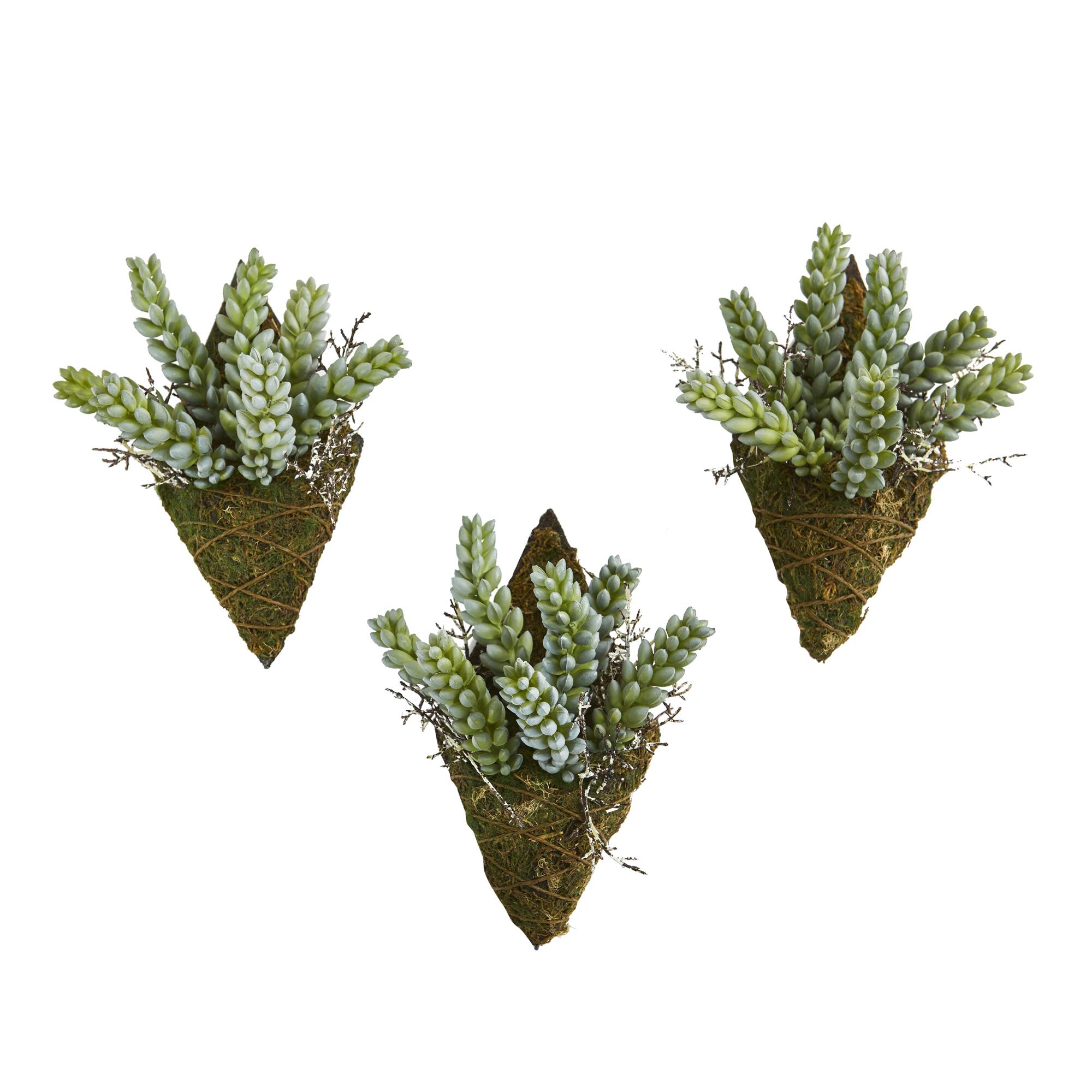 8'' Green Succulent Wall Décor Plant, 3ct. Michaels