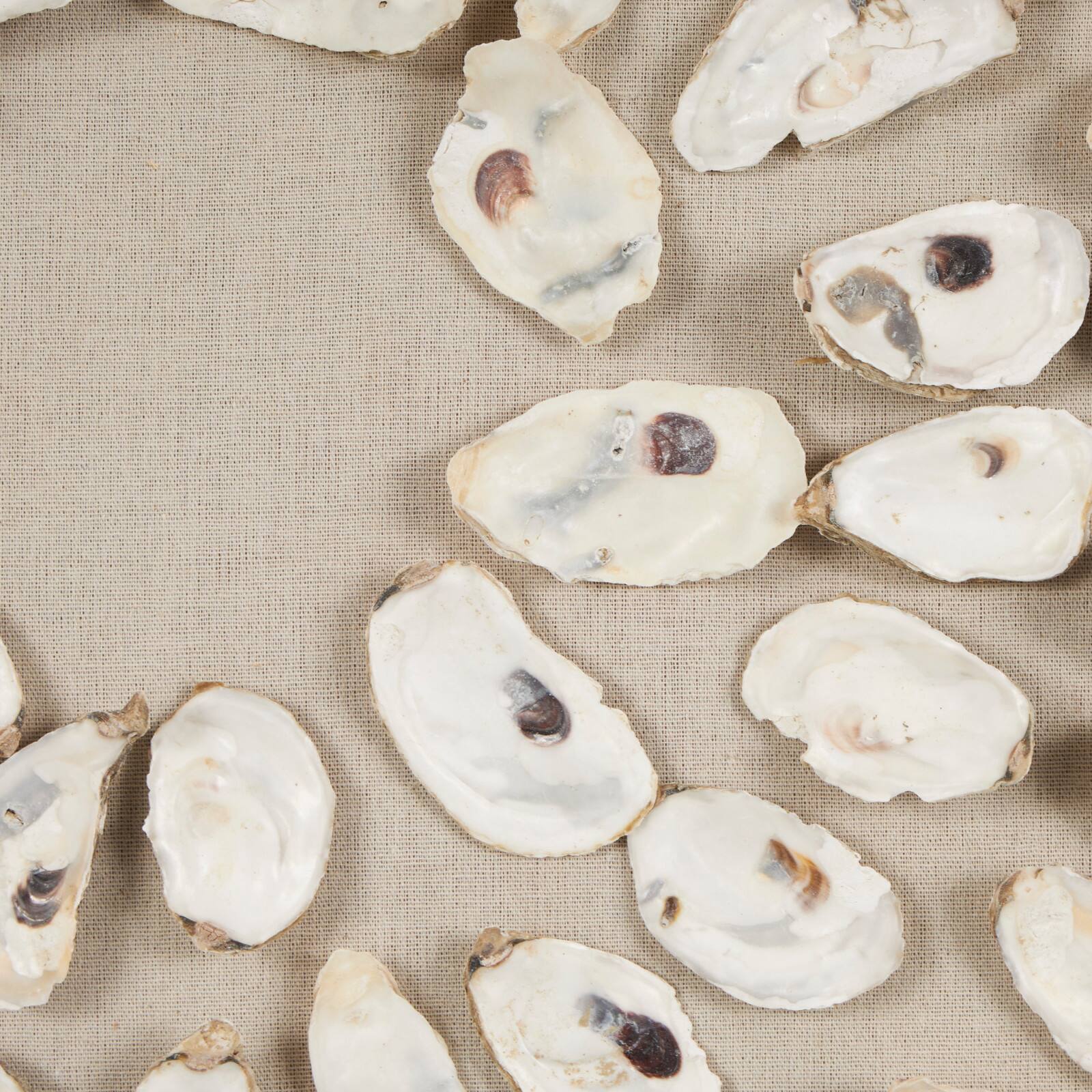 28" Cream, Beige & Black Handmade Abstract Circular Shell Wall Décor