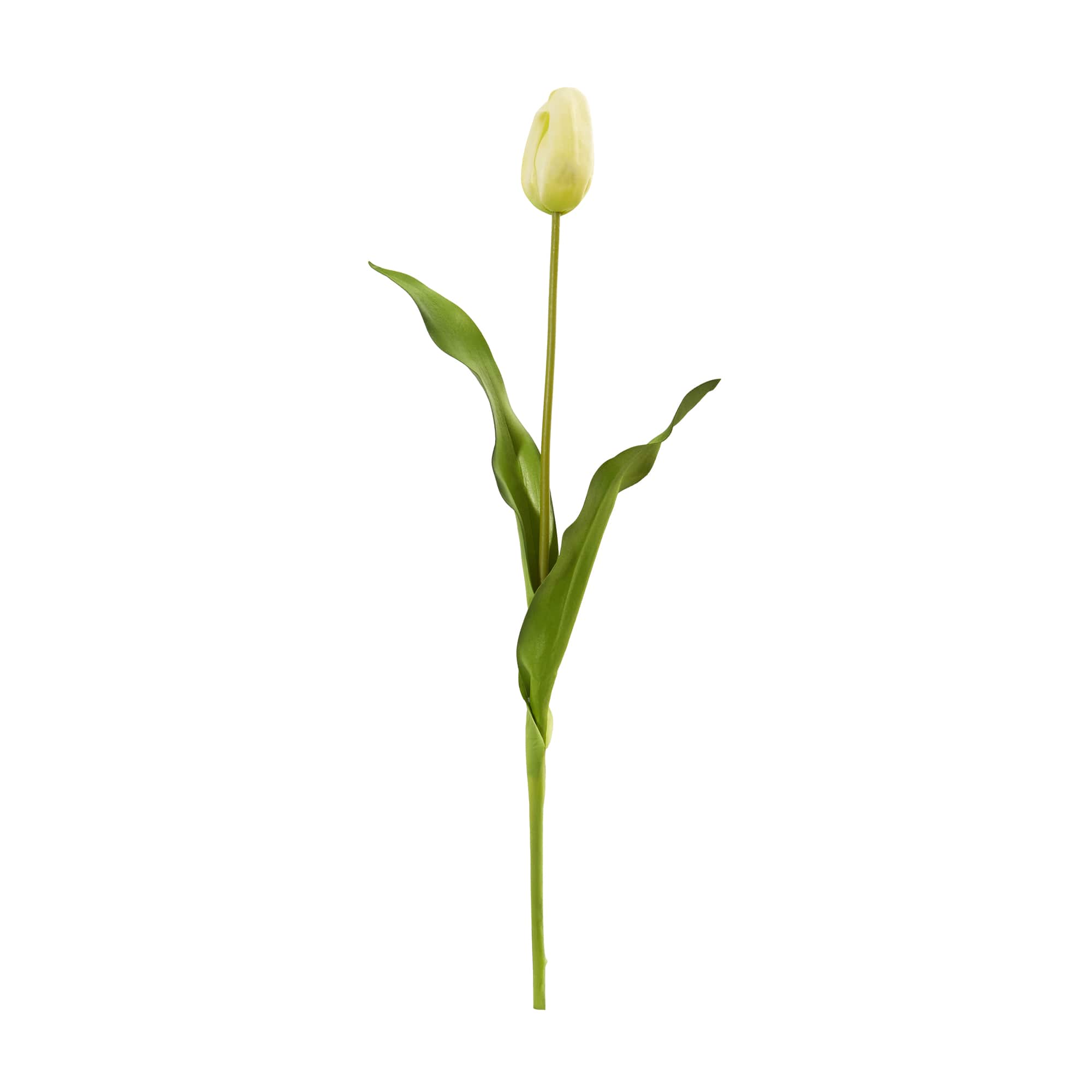 Dutch Tulip Artificial Flower Stem, 12ct.
