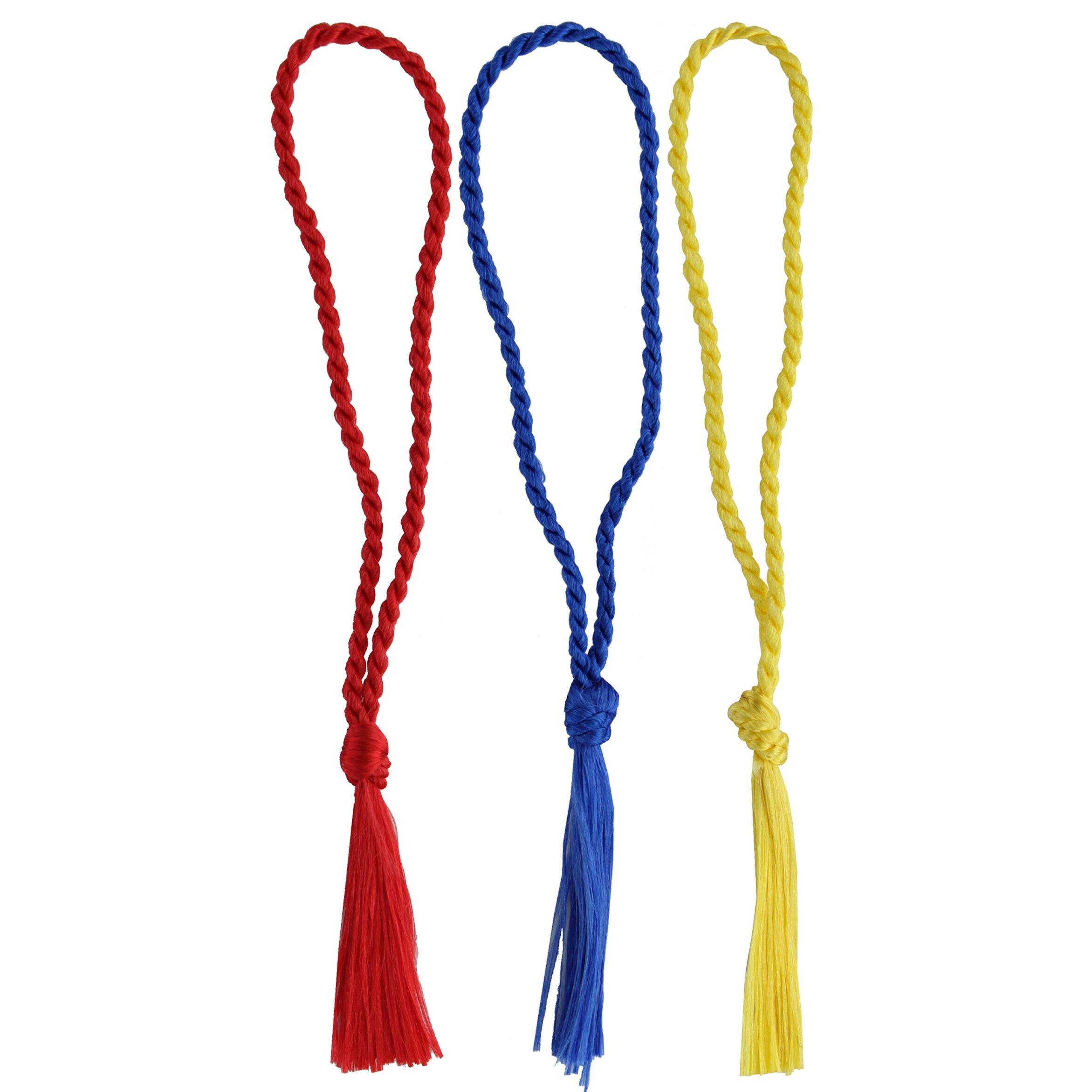 PA Paper&#x2122; Accents Red, Royal &#x26; Maize Tassels, 24ct.