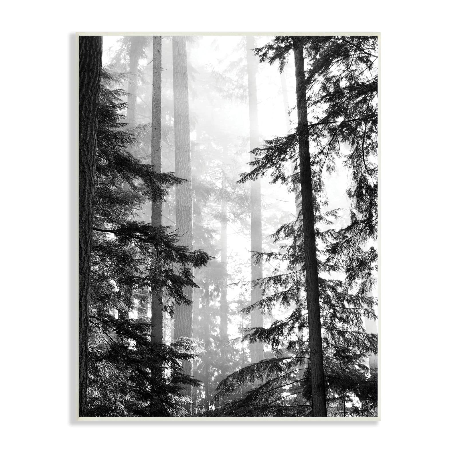 Stupell Industries Forest Light Shining Through Tall Trees Landscape Photography Wall Plaque