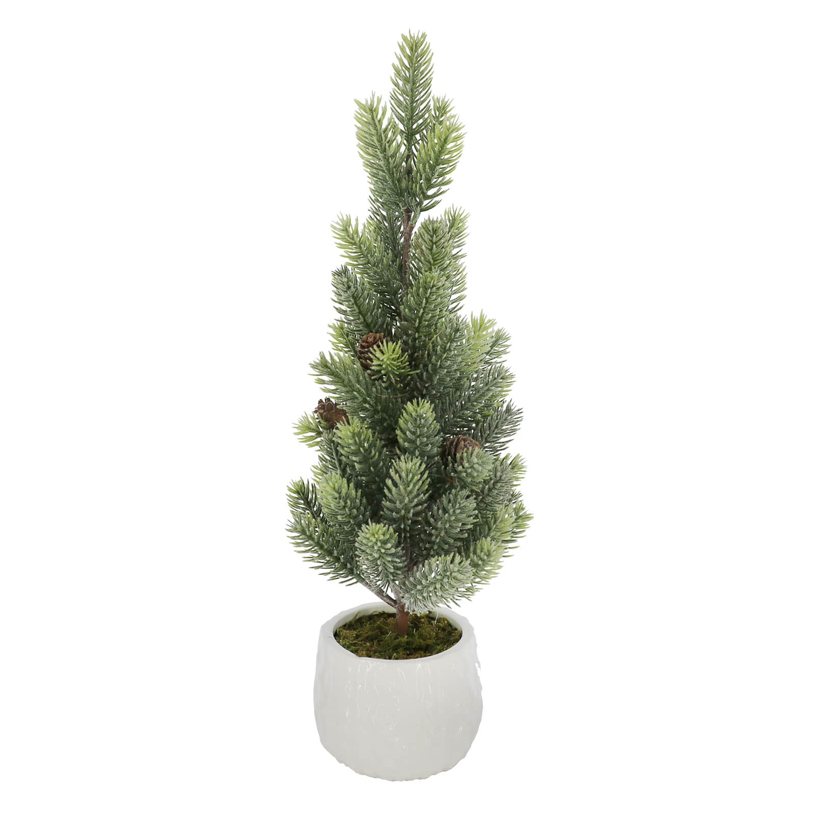 18" Potted Pine & Pinecone Accent Tree by Ashland®