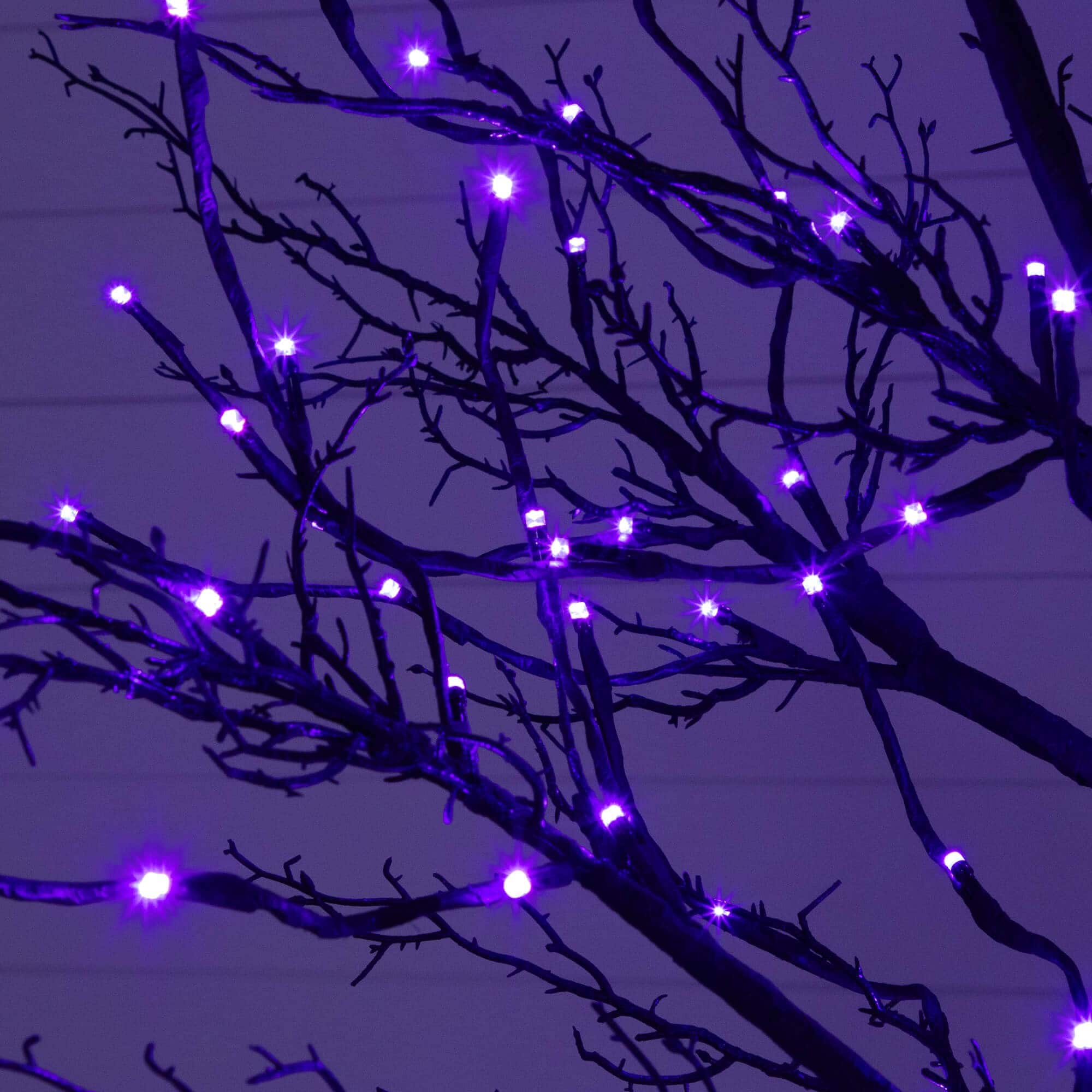 8ft. Pre-Lit Halloween Deluxe Black Twig Artificial Tree with 216 Orange &#x26; Purple LED Lights