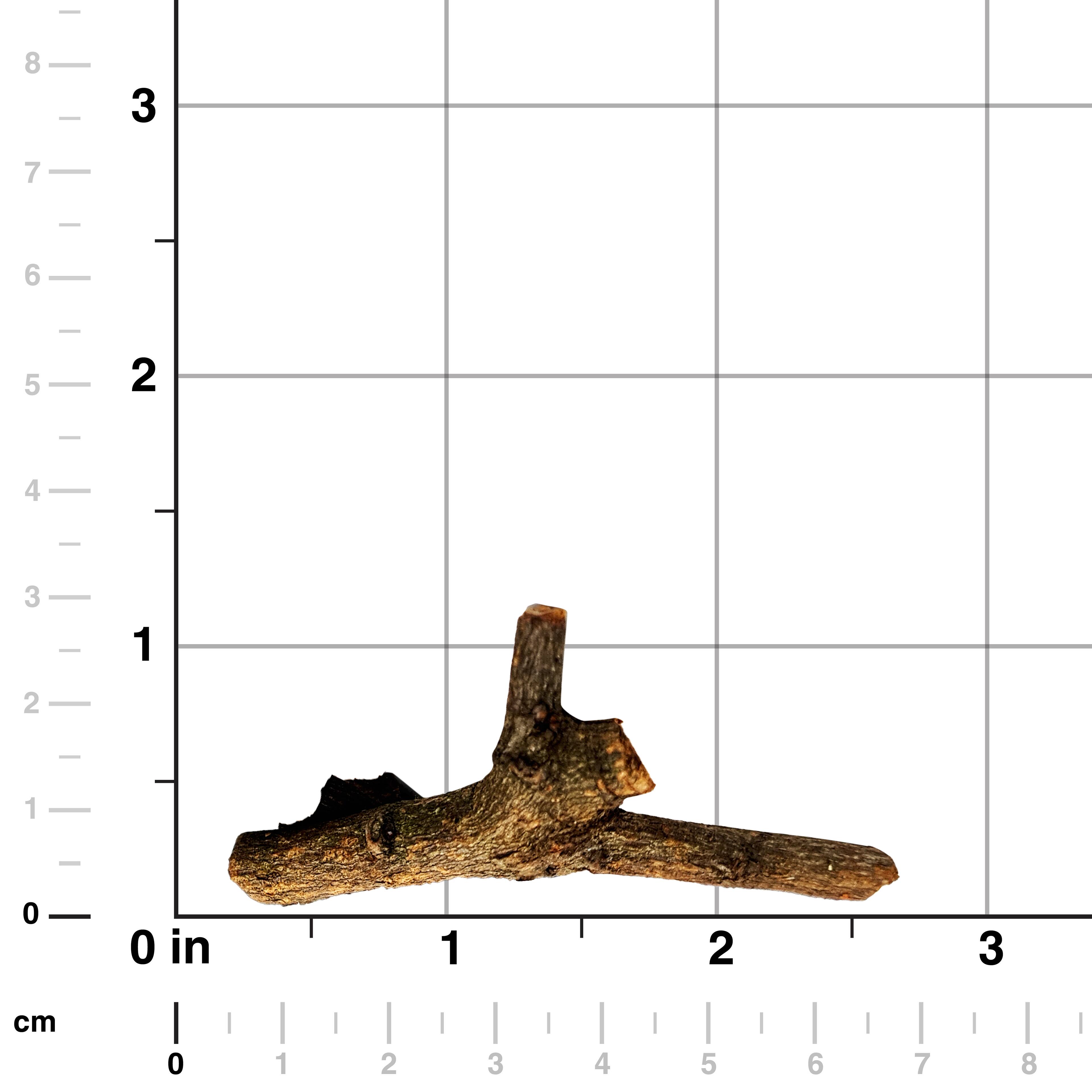 JTT Scenery Products Large Dead Fall