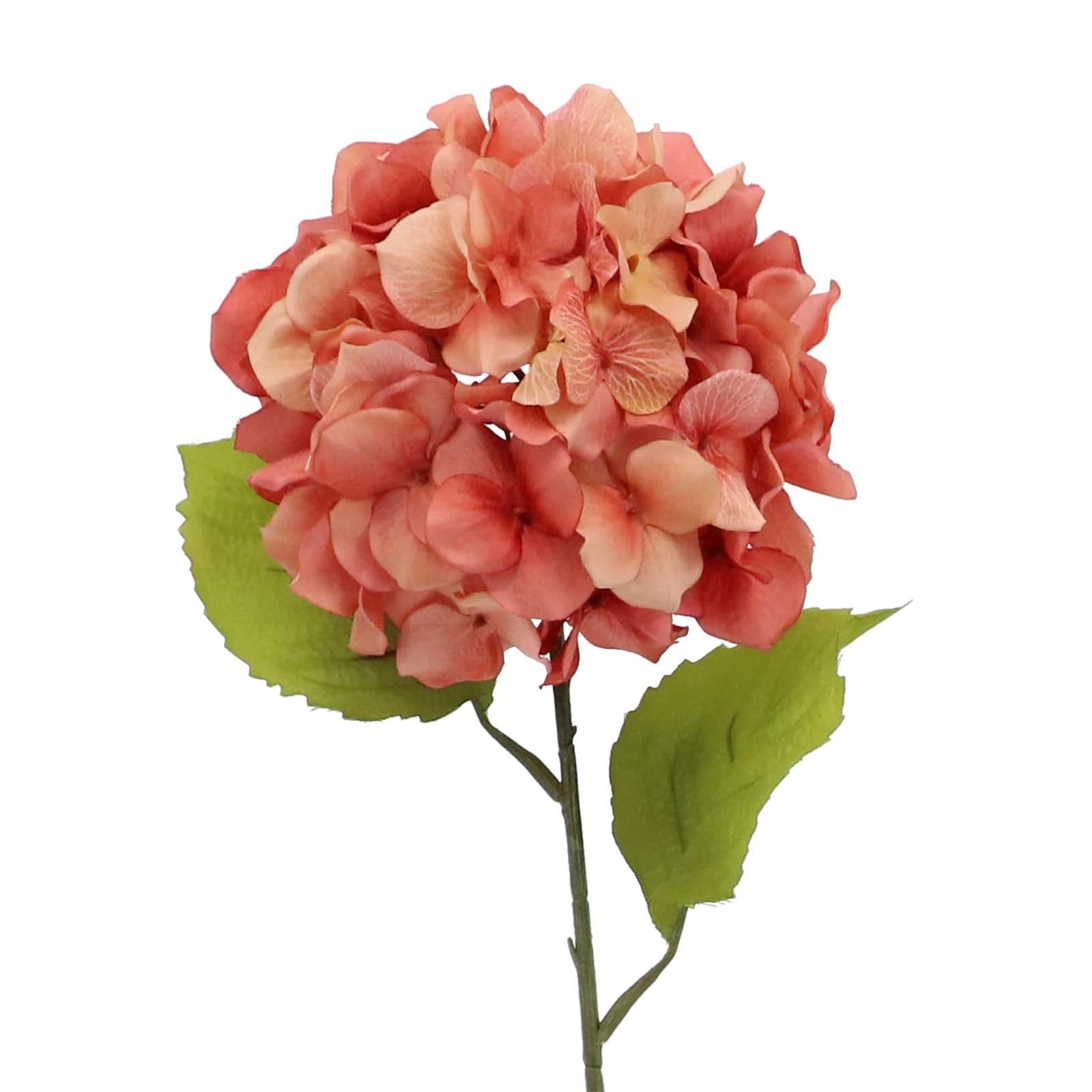 Terra Cotta Hydrangea Stem by Ashland&#xAE;