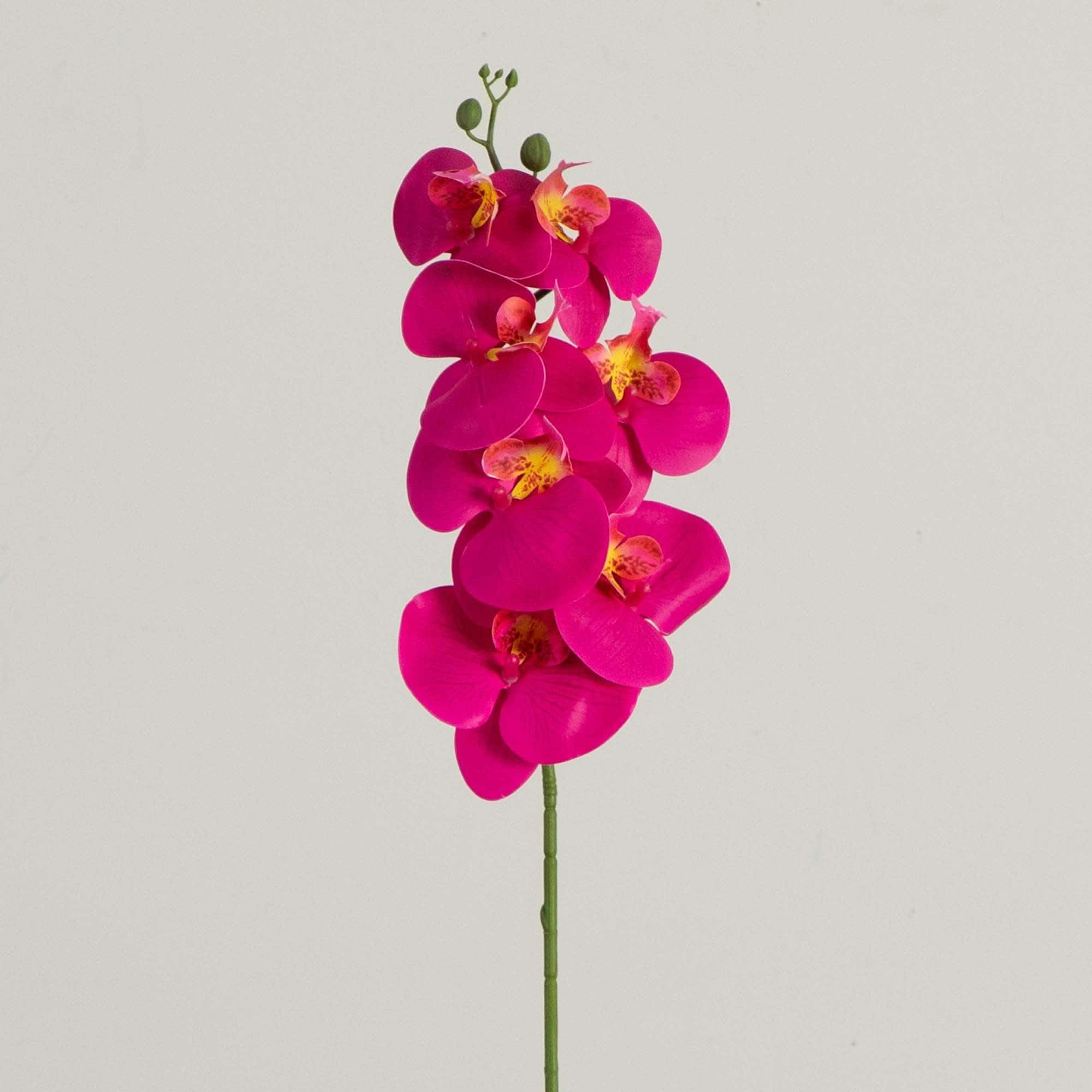 35&#x22; Beauty Pink Orchid Flower Stems, 3ct.