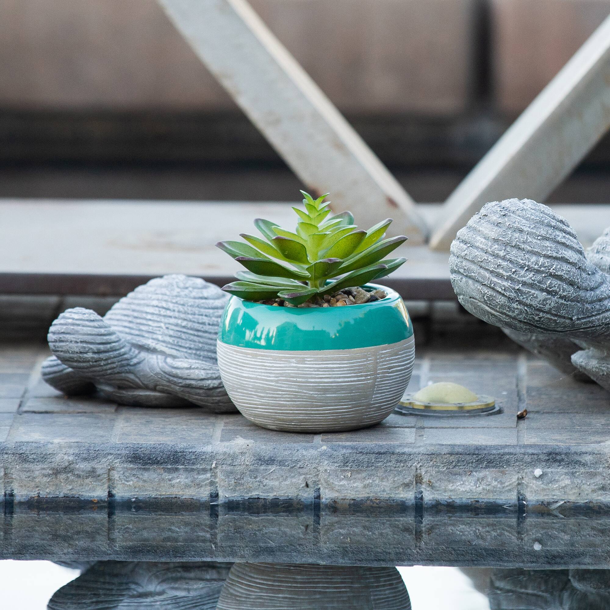 Flora Bunda&#xAE; Succulent In Two Tone Pattern Teal Ceramic Pot 
