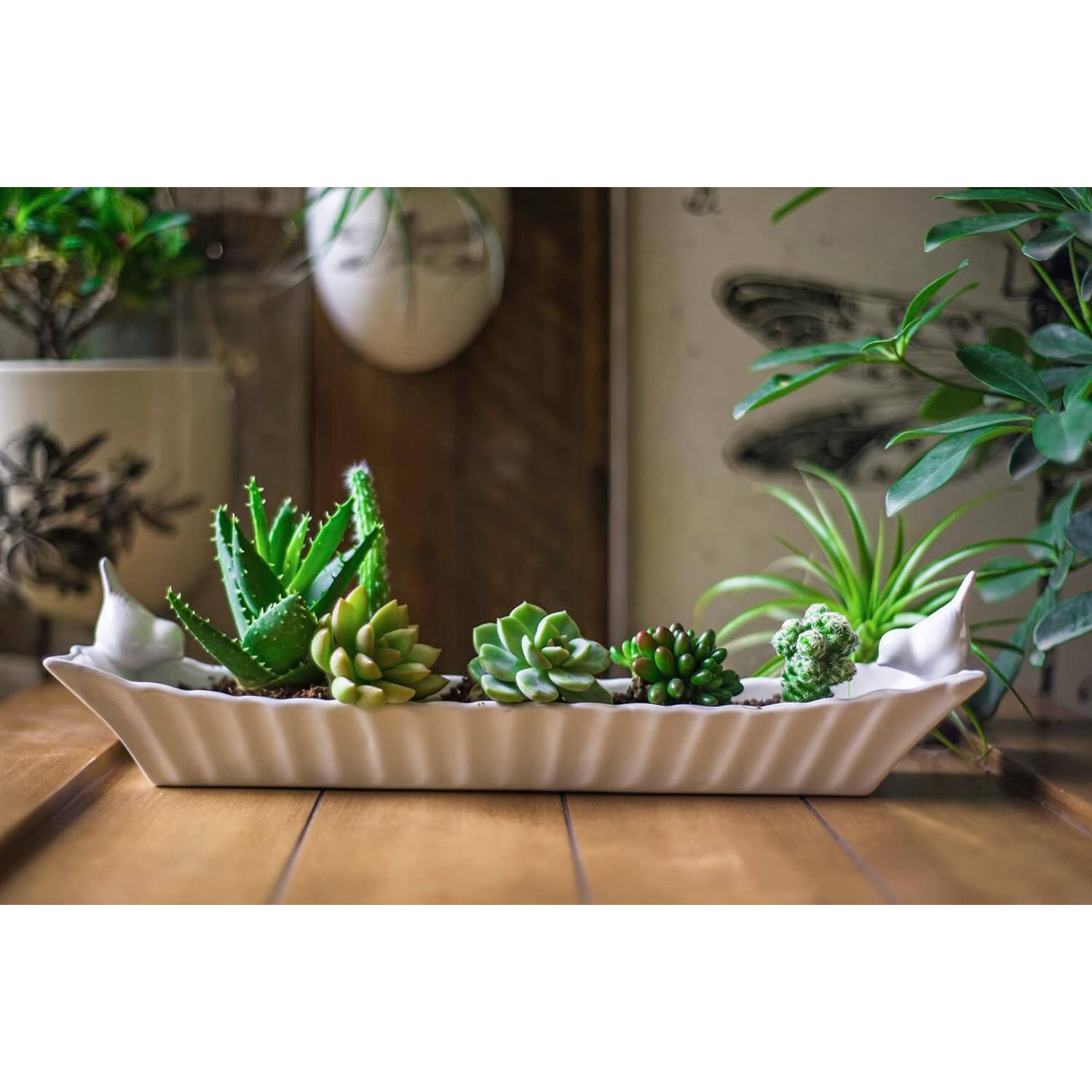 Hello Honey&#xAE; 15.5&#x22; Long White Ceramic Cracker Dish with Two Birds