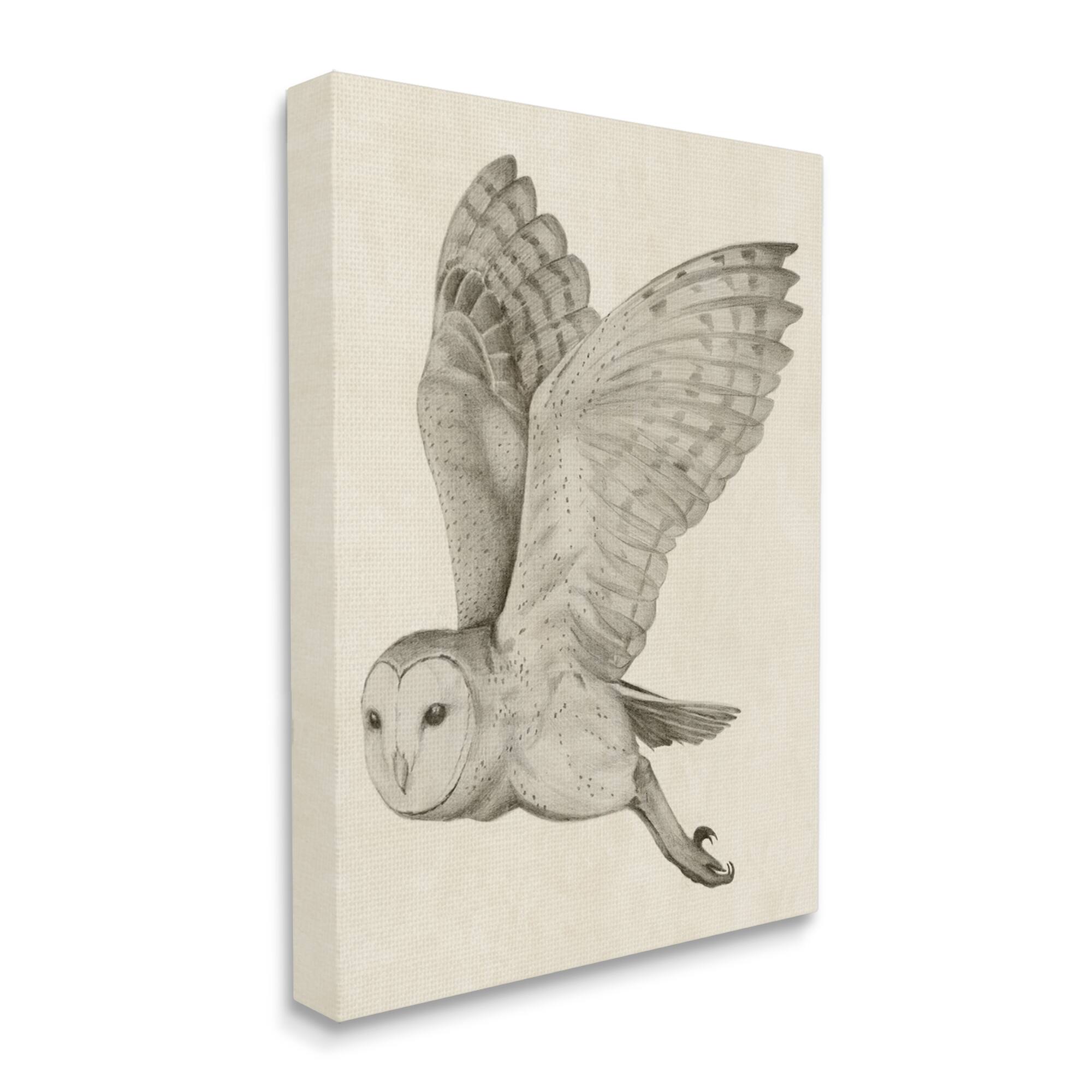 Stupell Industries Flying Barn Owl Wings Detailed Drawing Canvas Wall Art