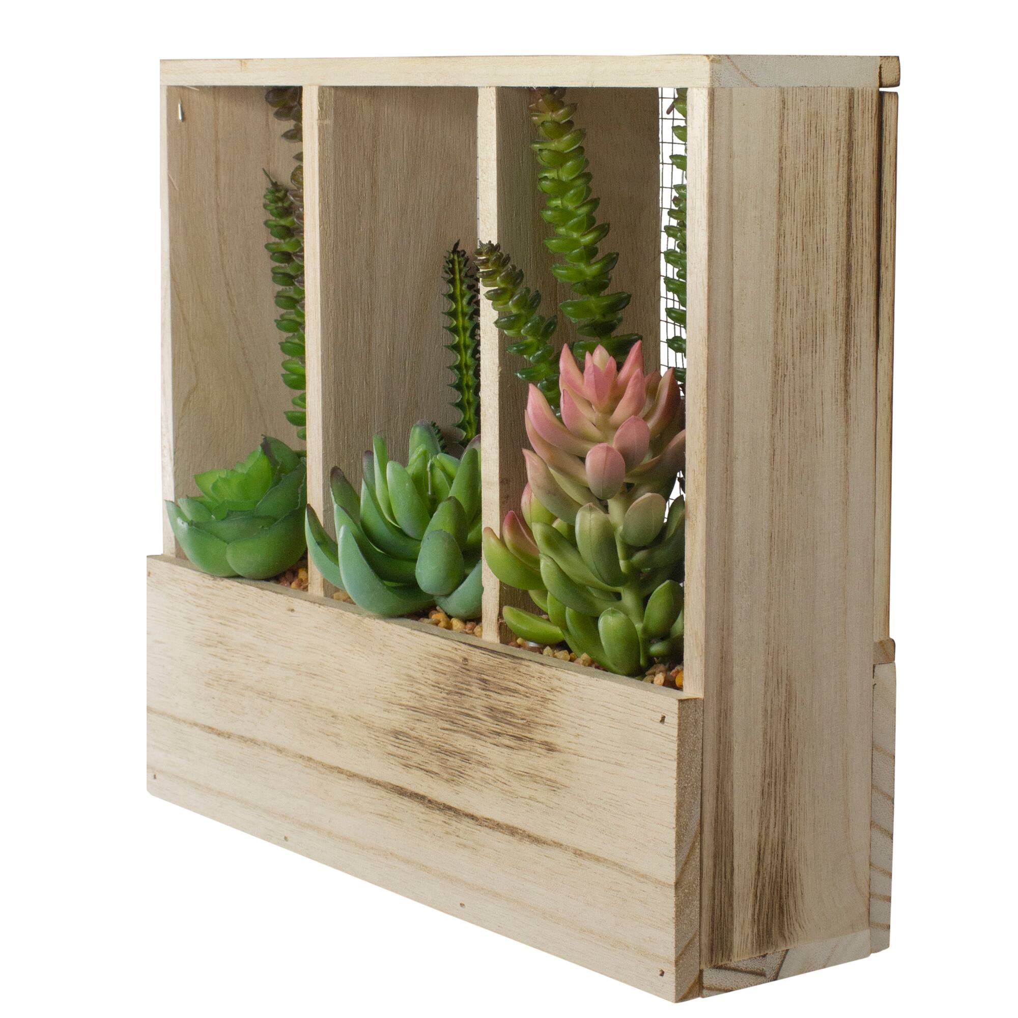 11" Mixed Succulent Arrangement in Wooden Planter Box