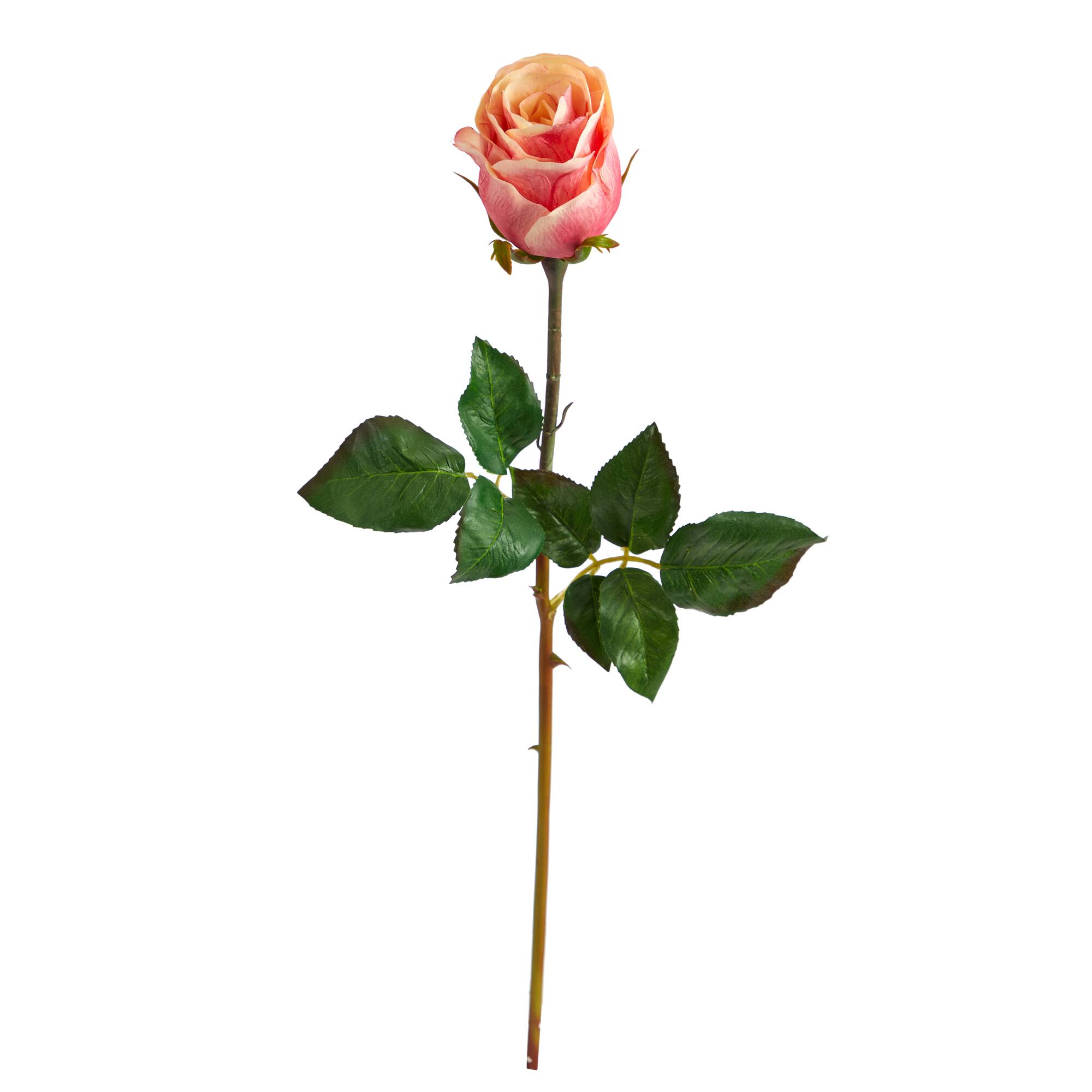 Peach & Pink Rose Bud Stem, 6ct. | Michaels
