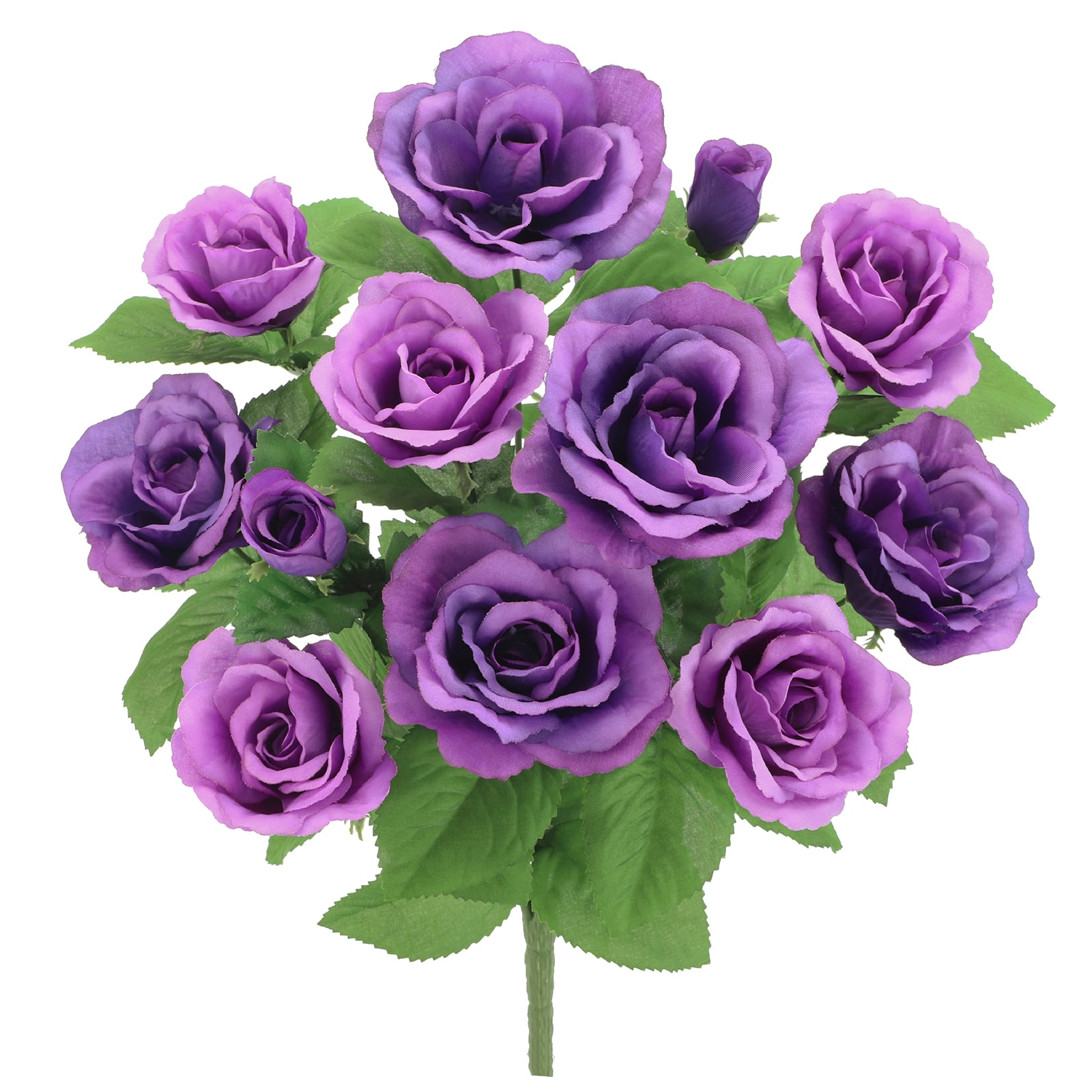 Spliced Purple Roses, Mid Length, PSD®