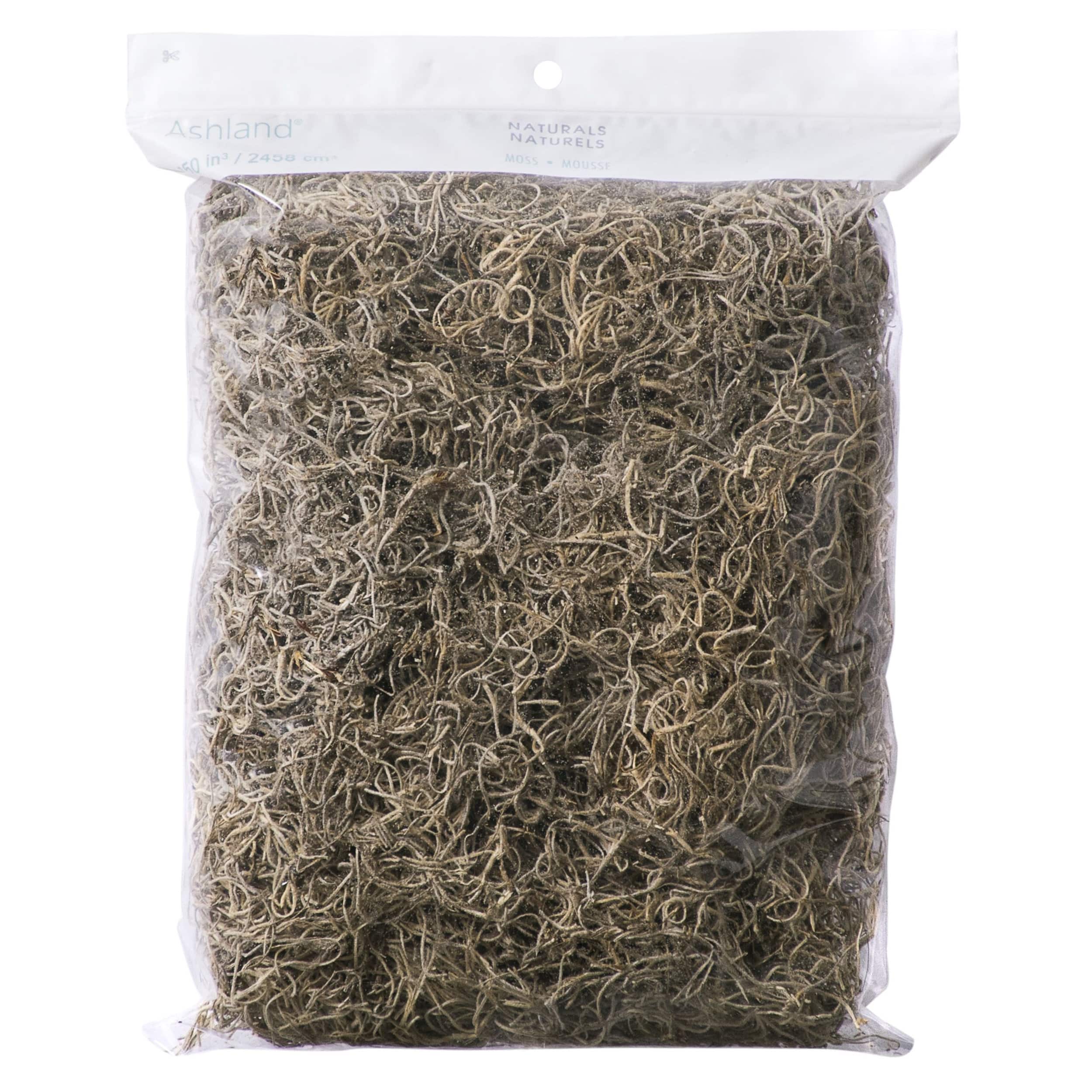 Spanish Moss - Natural 4 oz Bag – The Craft Place USA