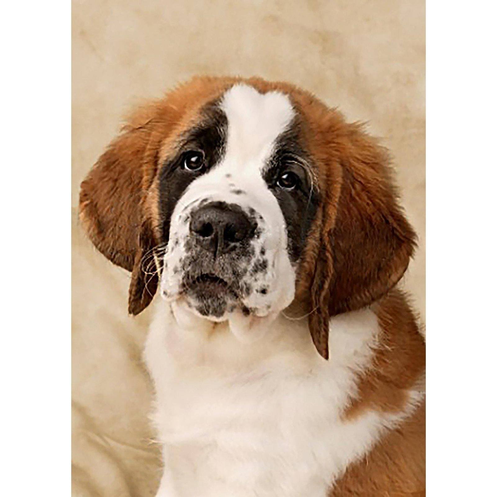 Crafting Spark St. Bernard Pup Diamond Painting Kit