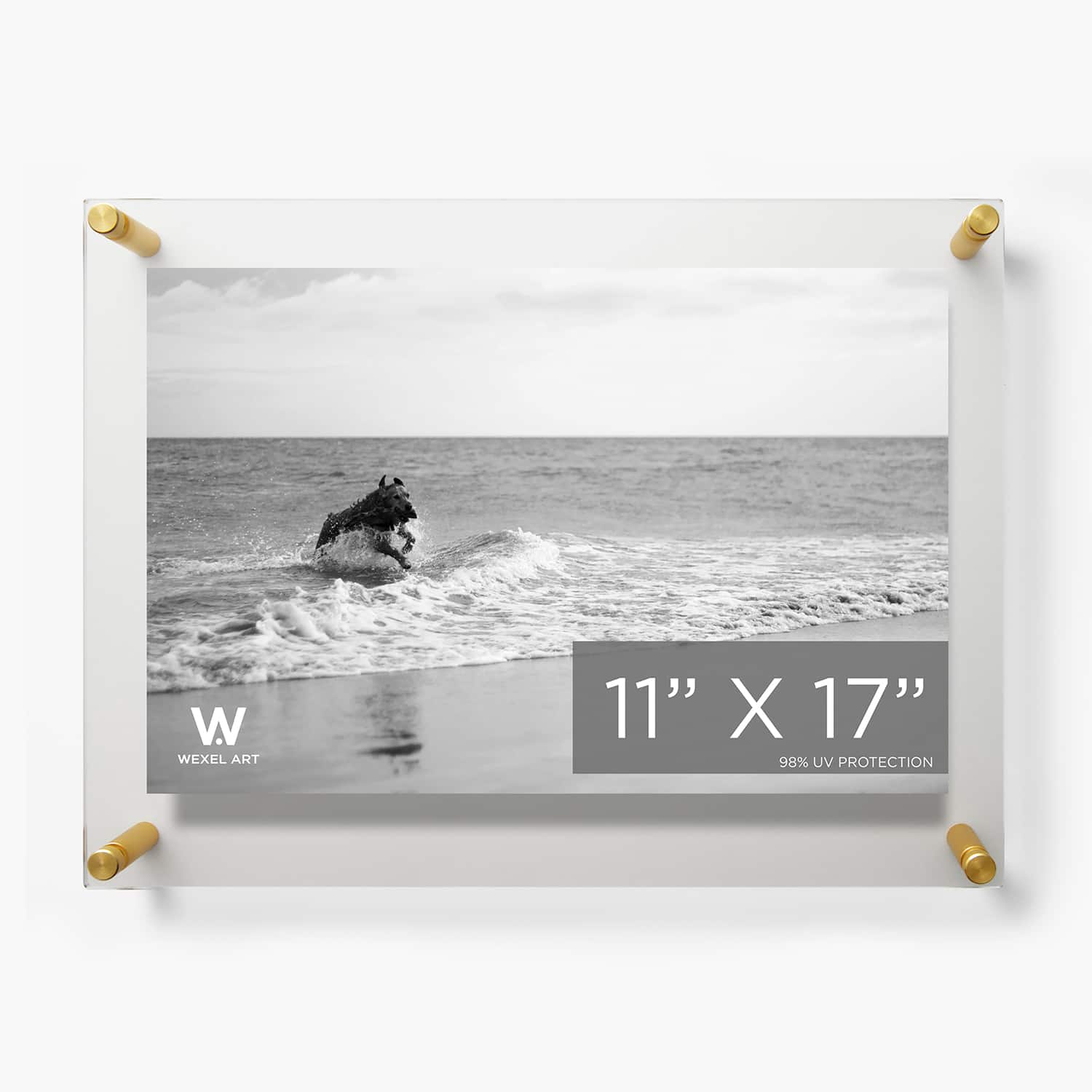 Wexel Art Double Panel Clear Acrylic Floating Wall Frame with Gold Hardware