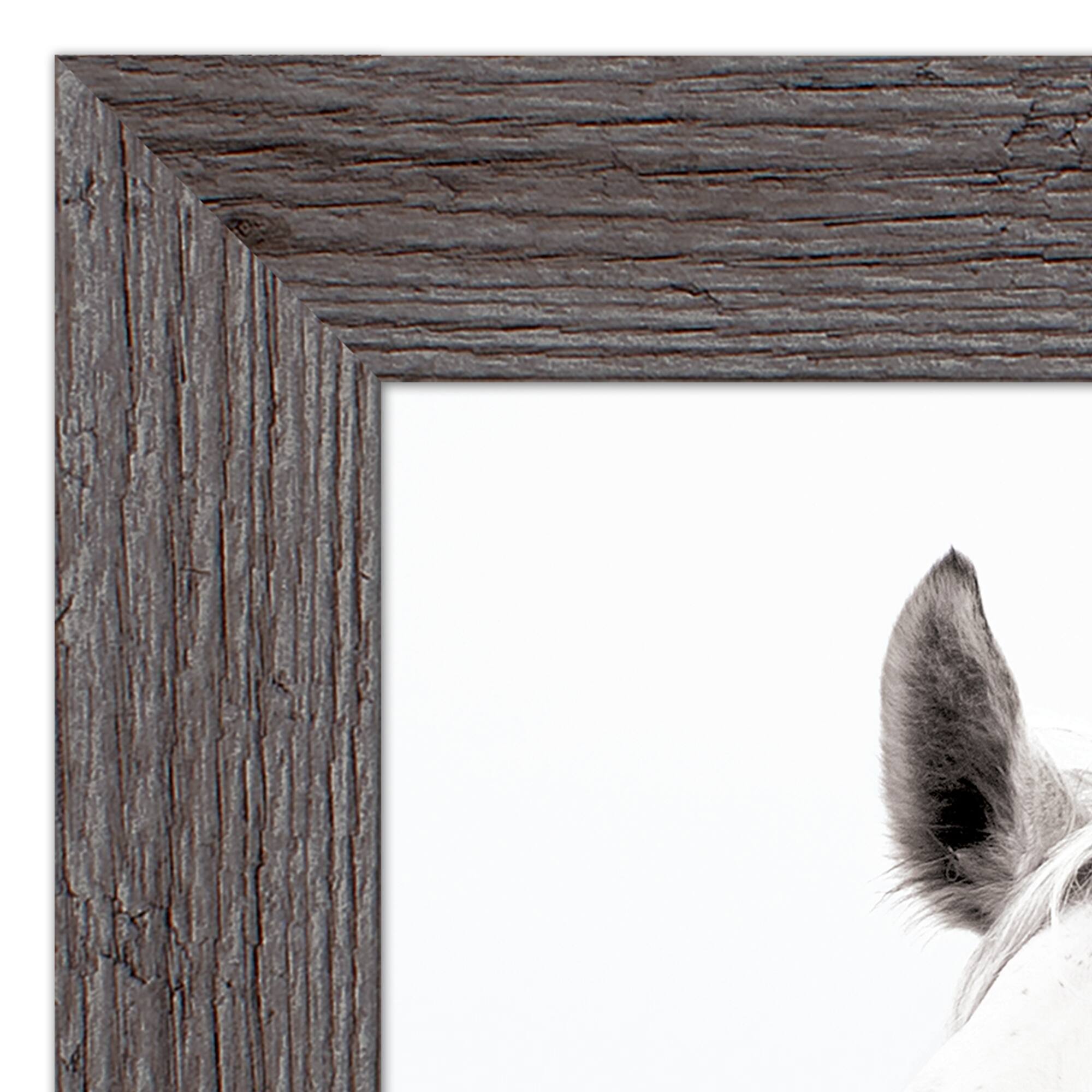 White Horse Western Framed Print