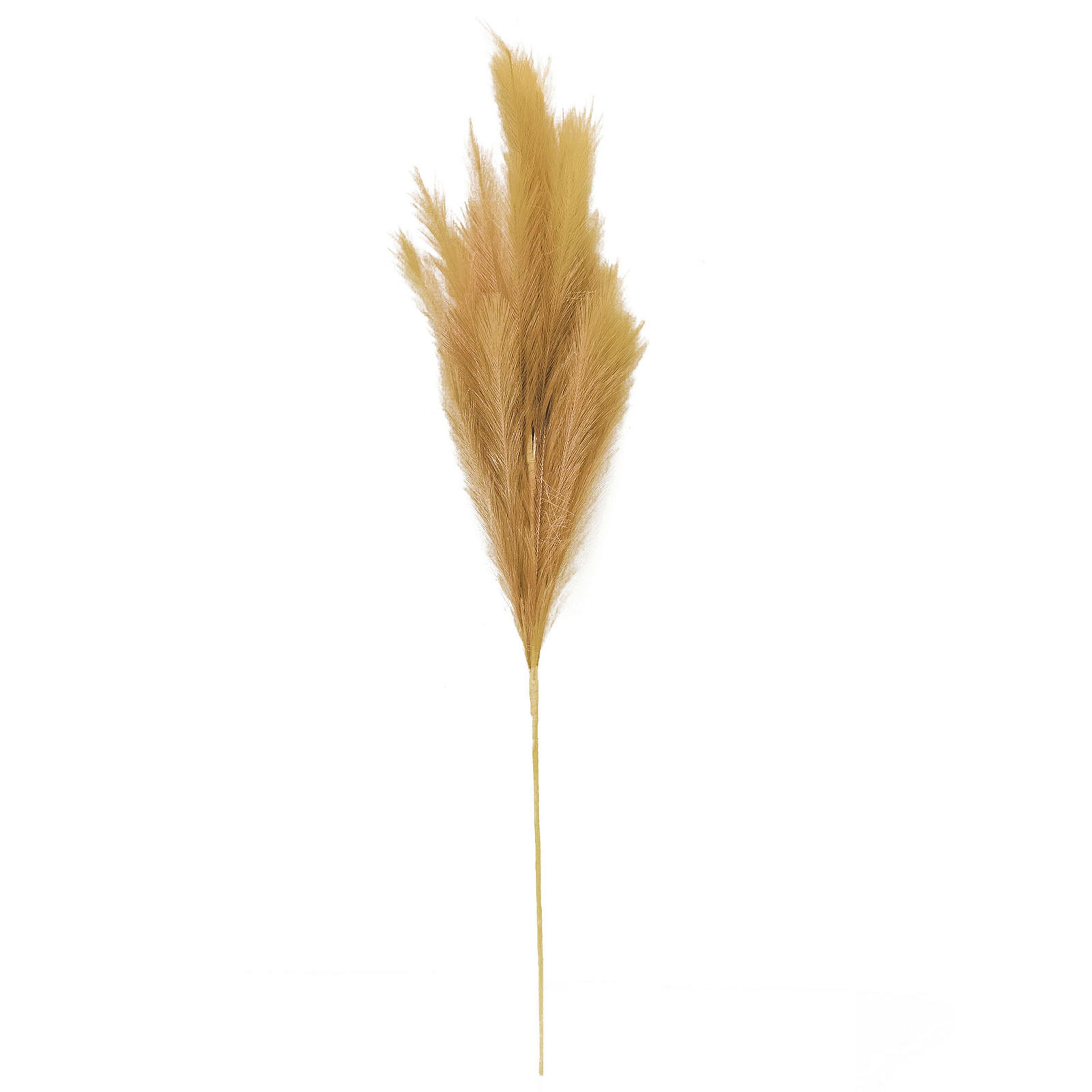 8 Pack: Wispy Pampas Grass Stem by Ashland®