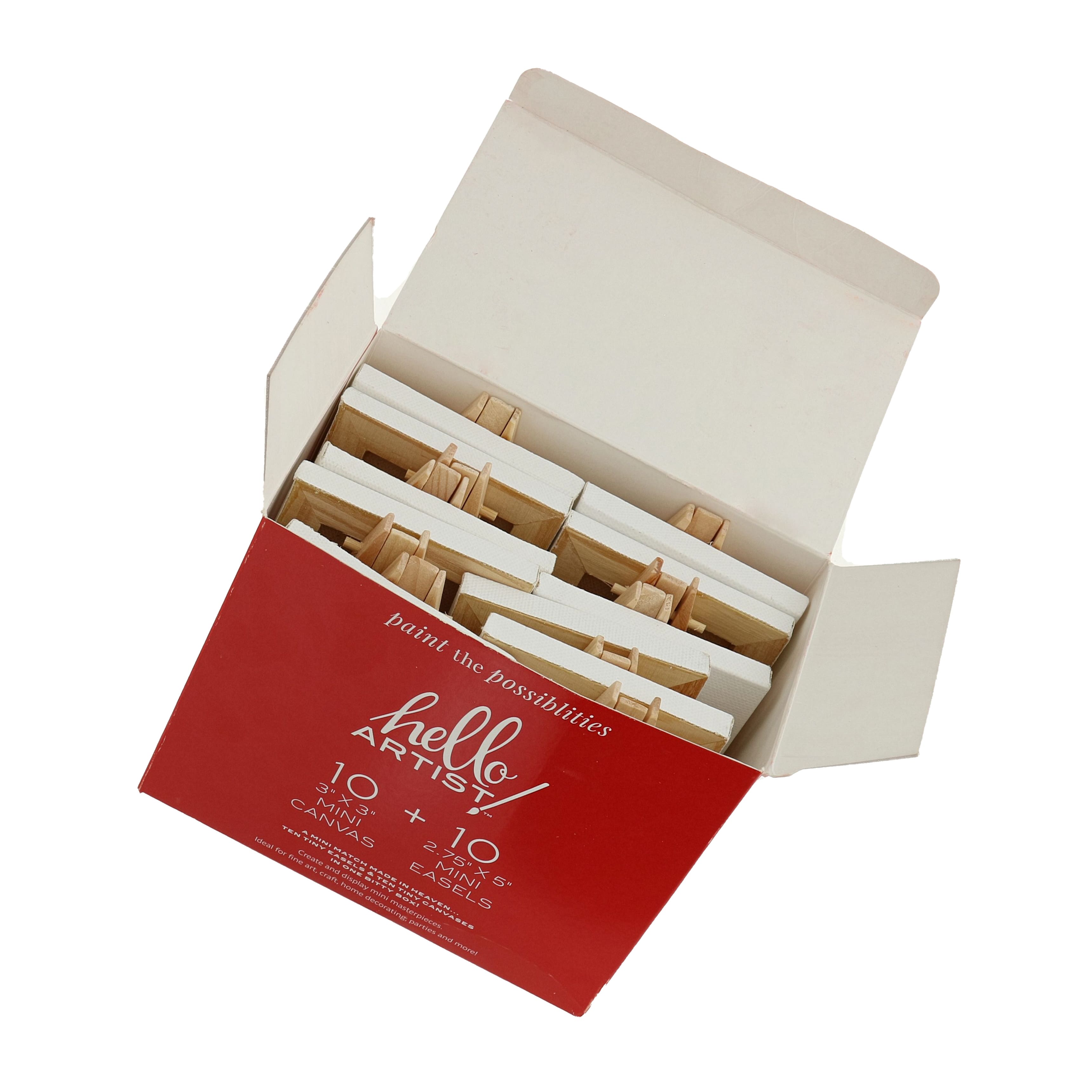 Hello Artist!™ Mini Canvas with Easel Party Pack